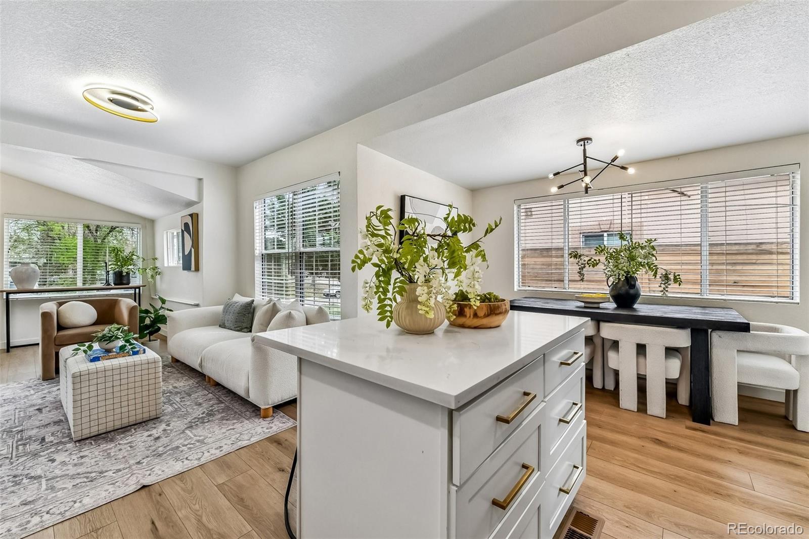 MLS Image #20 for 129  king street,denver, Colorado