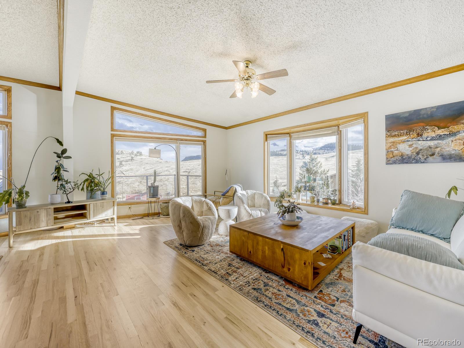 MLS Image #14 for 32020  robinson hill road,golden, Colorado