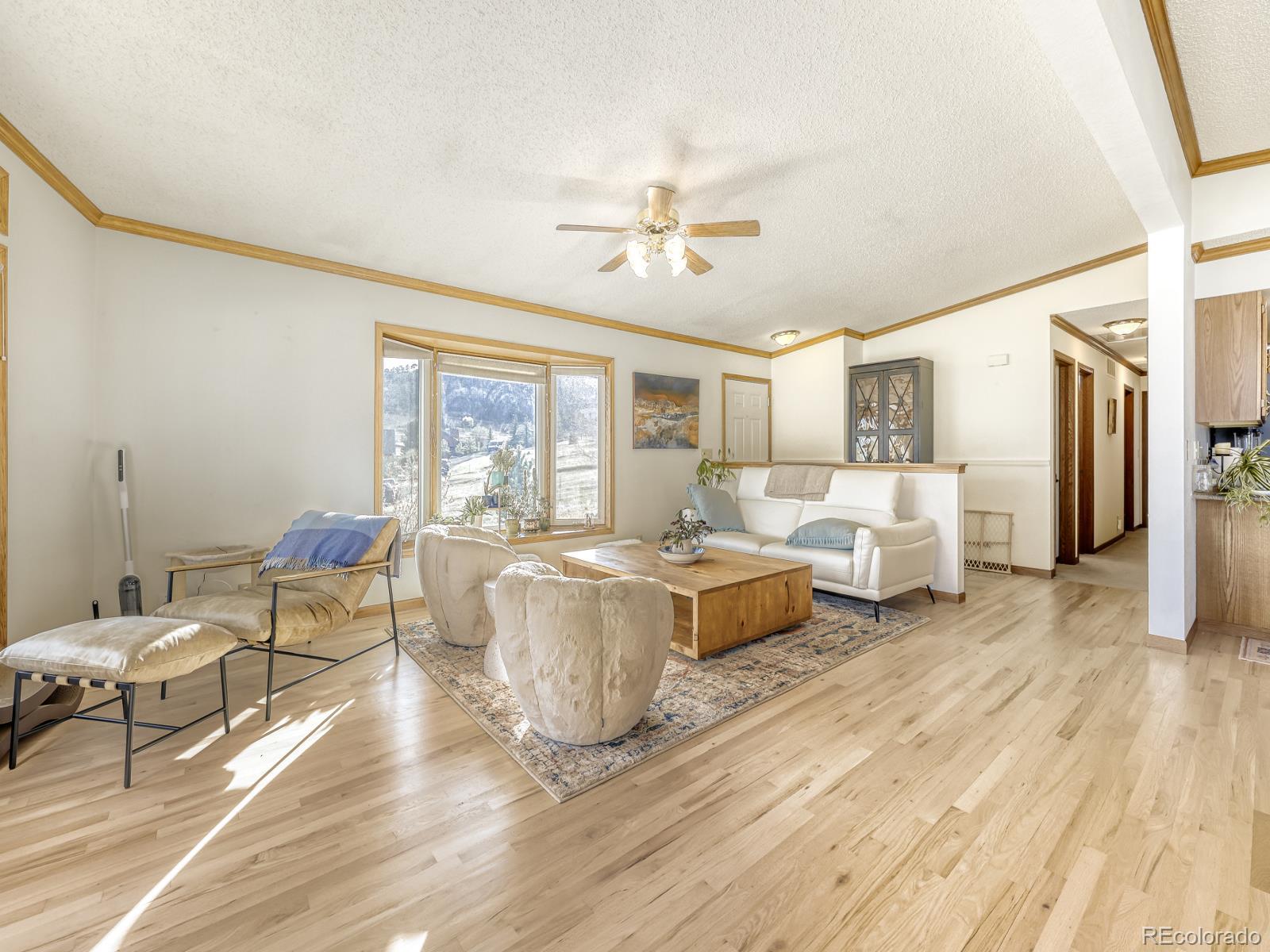 MLS Image #15 for 32020  robinson hill road,golden, Colorado