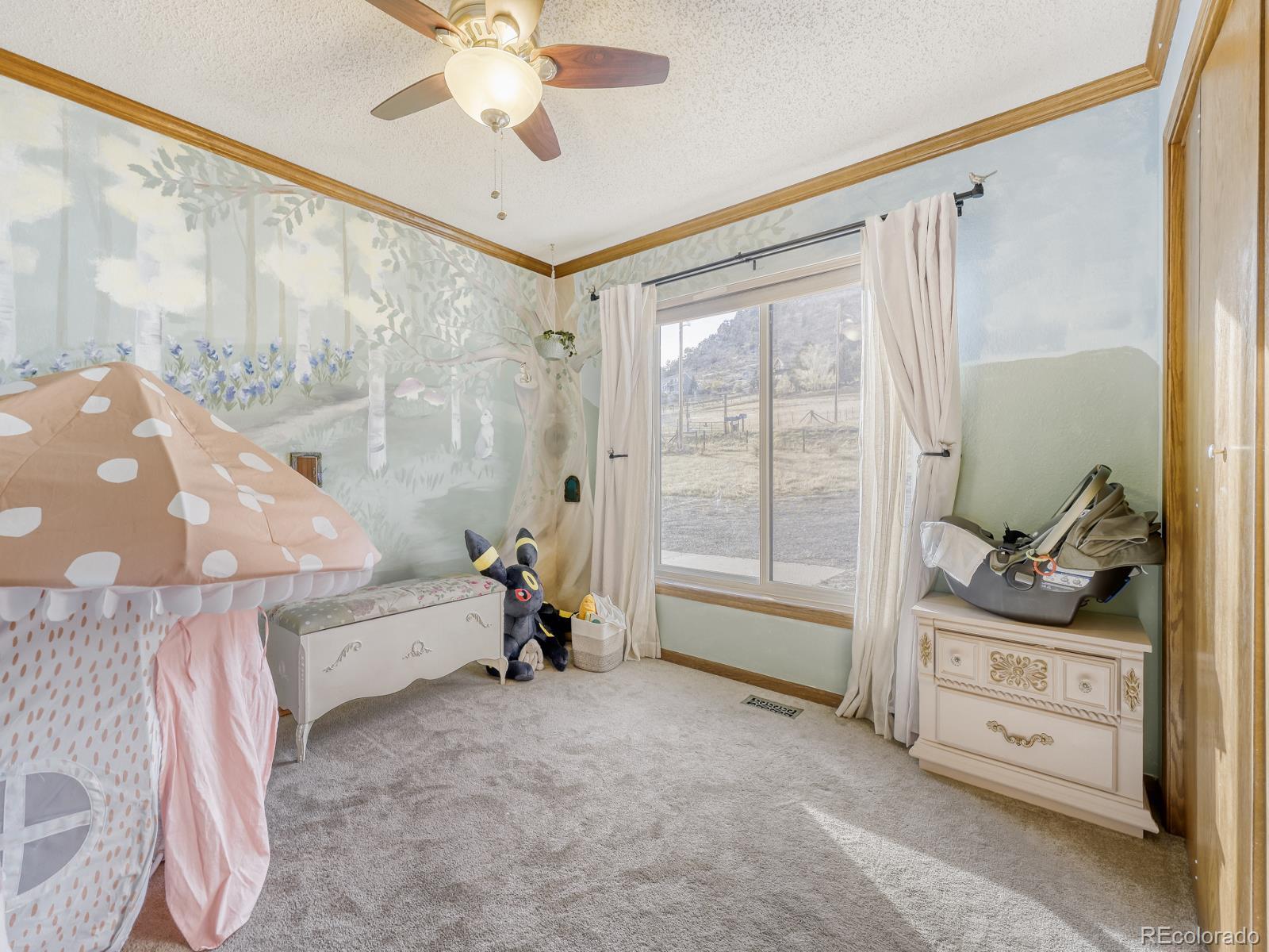 MLS Image #20 for 32020  robinson hill road,golden, Colorado