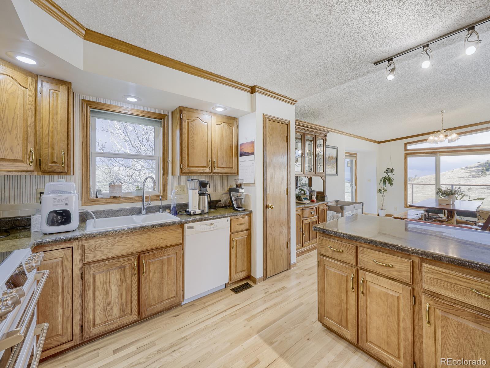 MLS Image #9 for 32020  robinson hill road,golden, Colorado