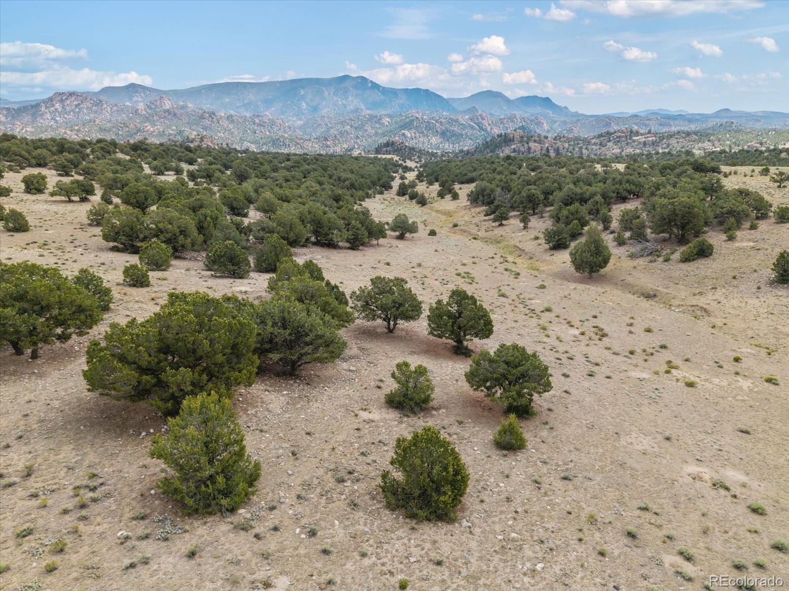 MLS Image #46 for 11355 e county road 270 ,nathrop, Colorado
