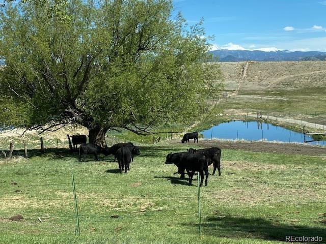 MLS Image #47 for 11355 e county road 270 ,nathrop, Colorado