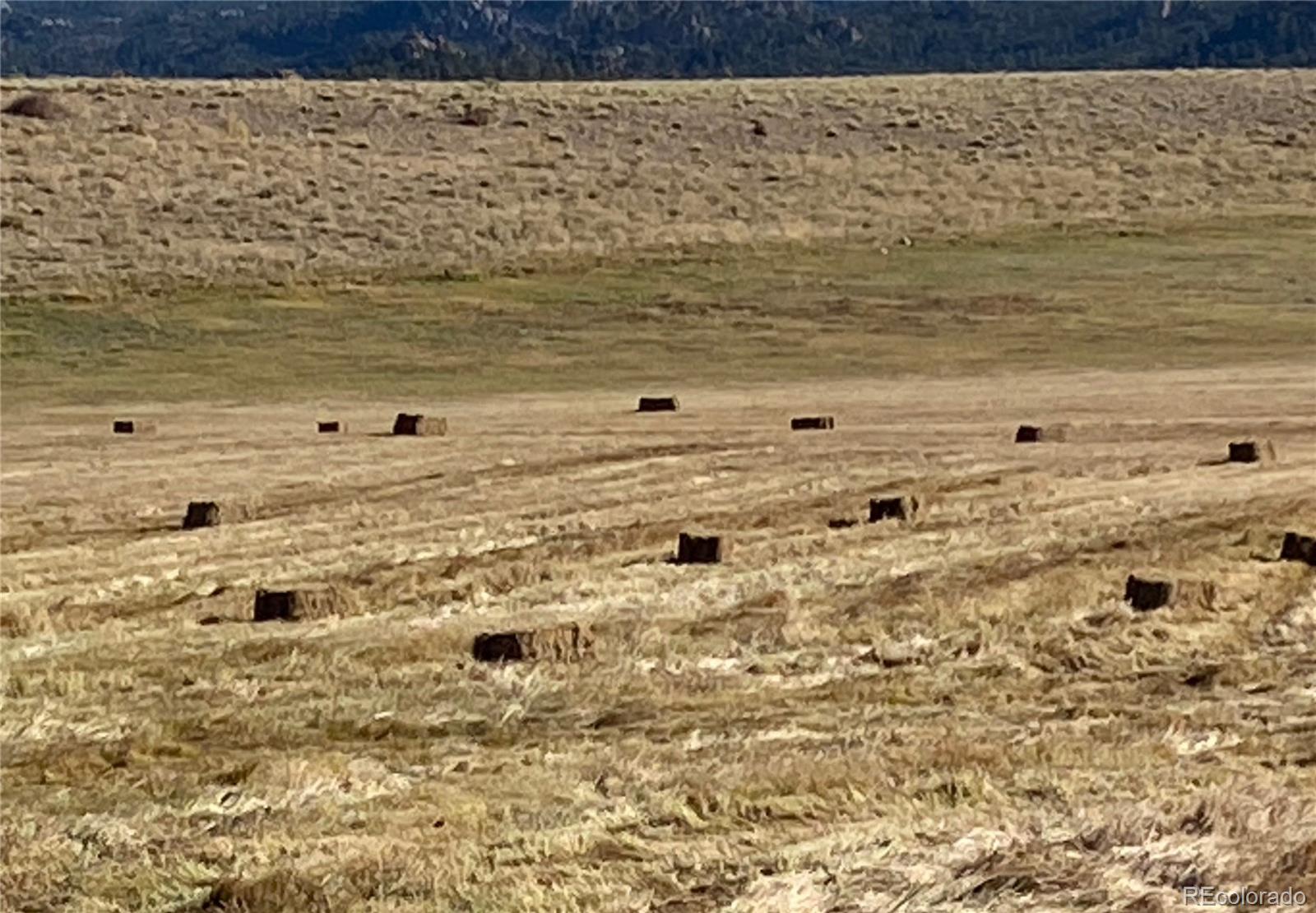 MLS Image #48 for 11355 e county road 270 ,nathrop, Colorado