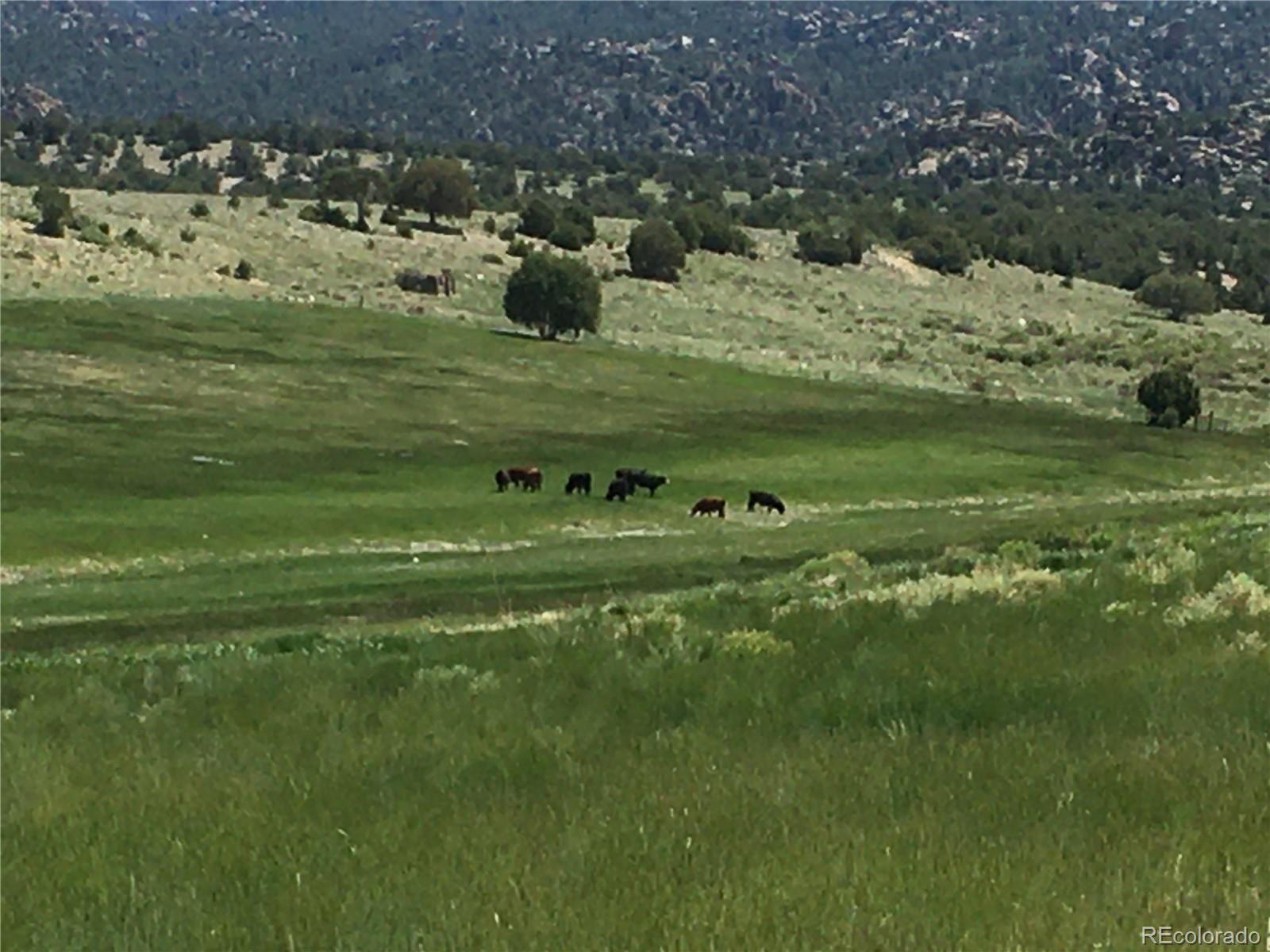 MLS Image #49 for 11355 e county road 270 ,nathrop, Colorado