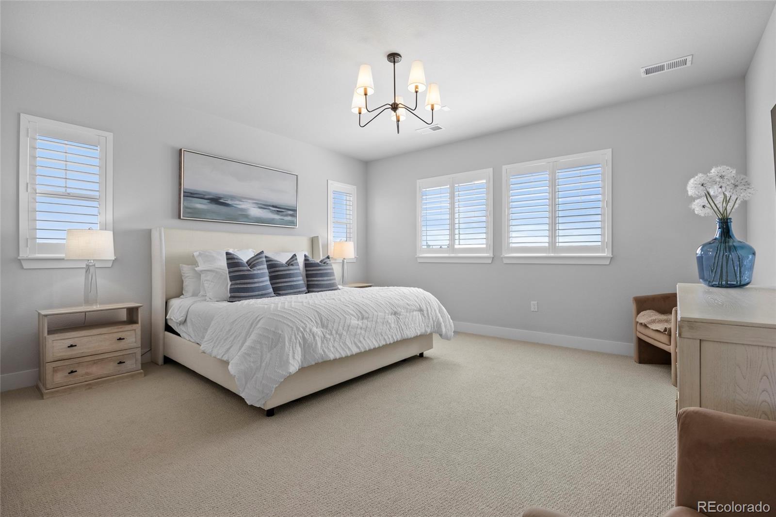 MLS Image #20 for 13675  emerald lake street,parker, Colorado