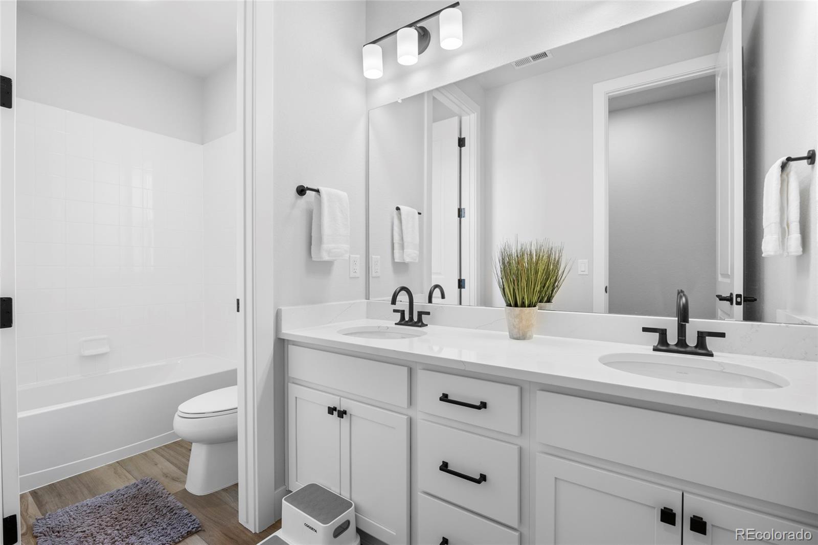 MLS Image #29 for 13675  emerald lake street,parker, Colorado