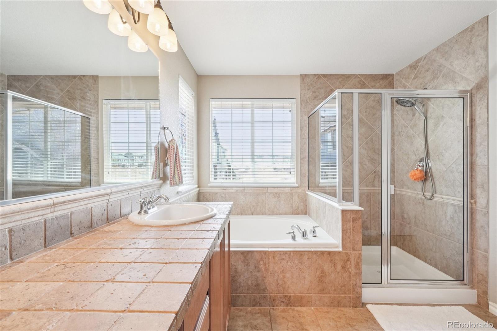 MLS Image #19 for 10916  towerbridge road,highlands ranch, Colorado