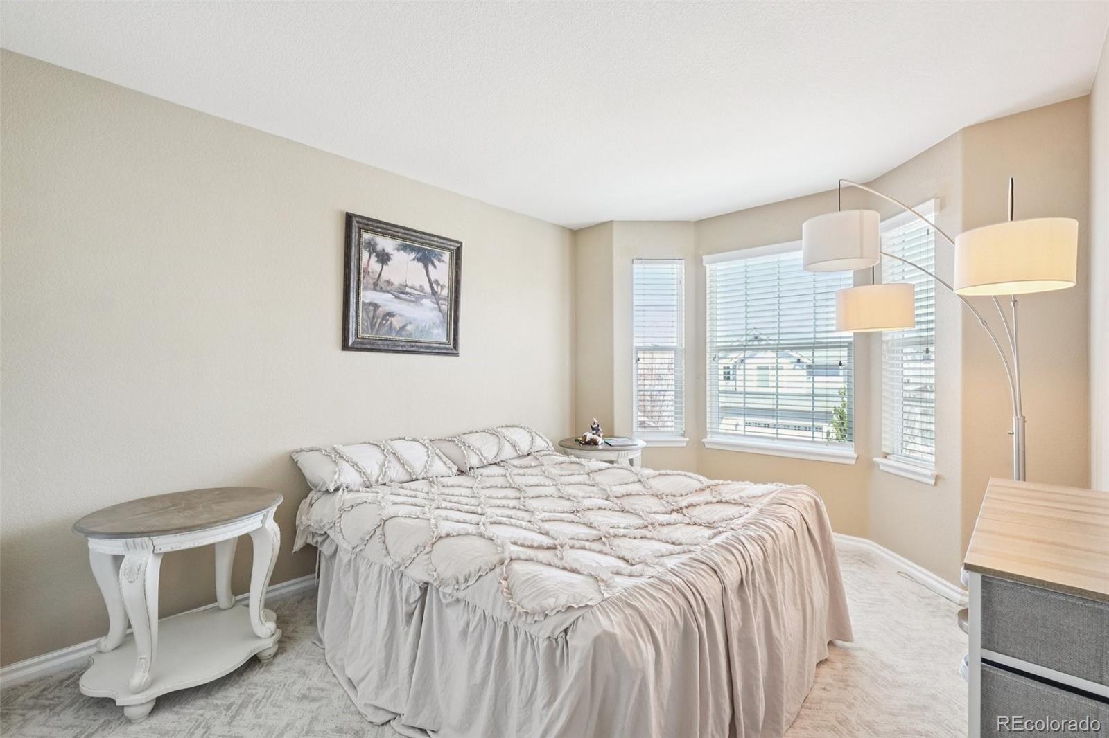 MLS Image #22 for 10916  towerbridge road,highlands ranch, Colorado