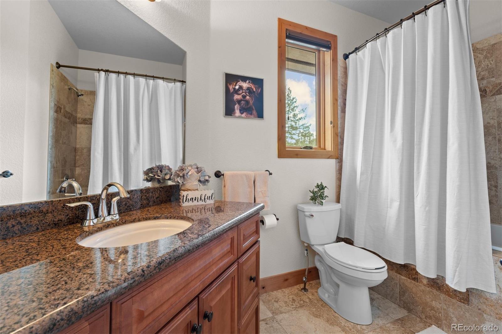 MLS Image #17 for 81  outpost lane,evergreen, Colorado
