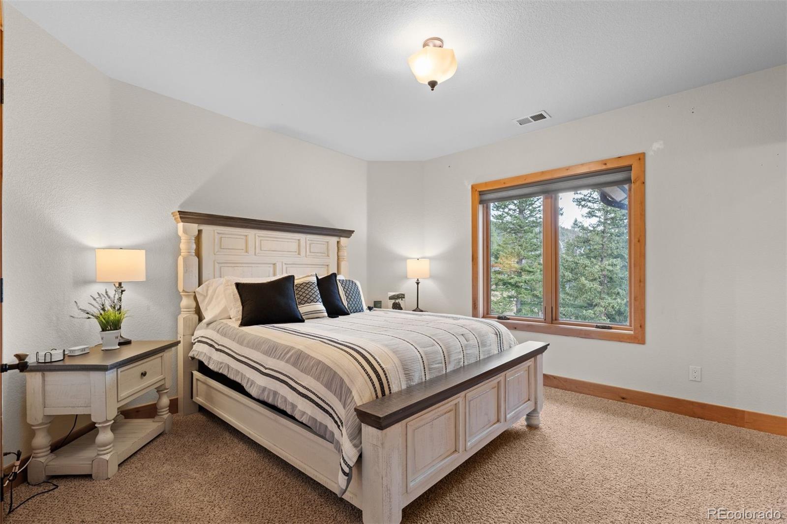 MLS Image #23 for 81  outpost lane,evergreen, Colorado