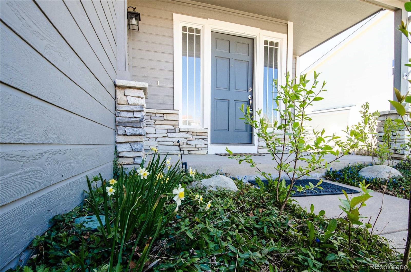 MLS Image #1 for 1147  dream lake court,colorado springs, Colorado