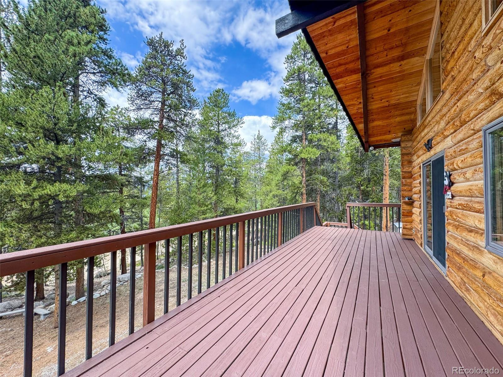 MLS Image #16 for 2235  empire valley drive,leadville, Colorado