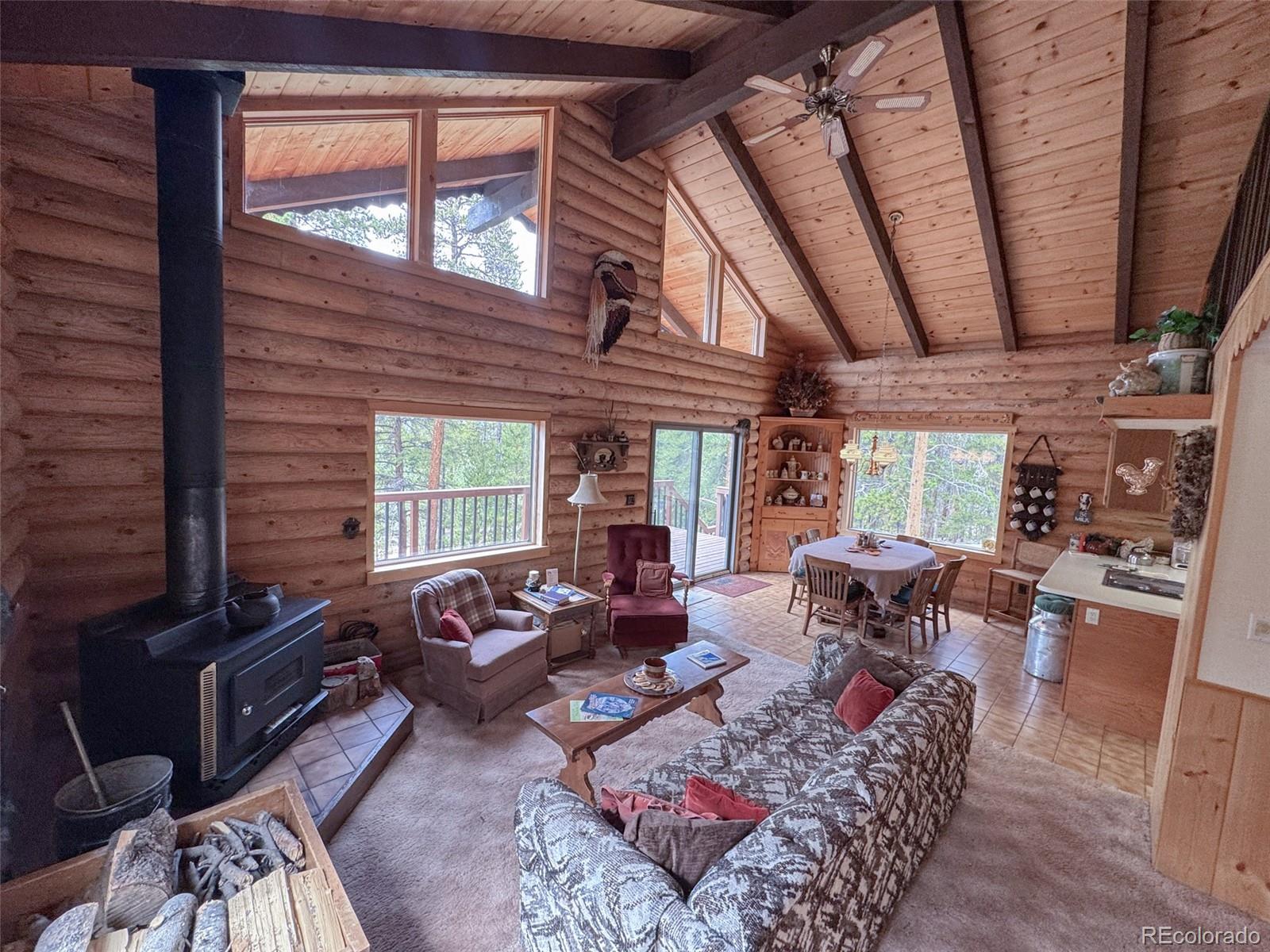 MLS Image #4 for 2235  empire valley drive,leadville, Colorado