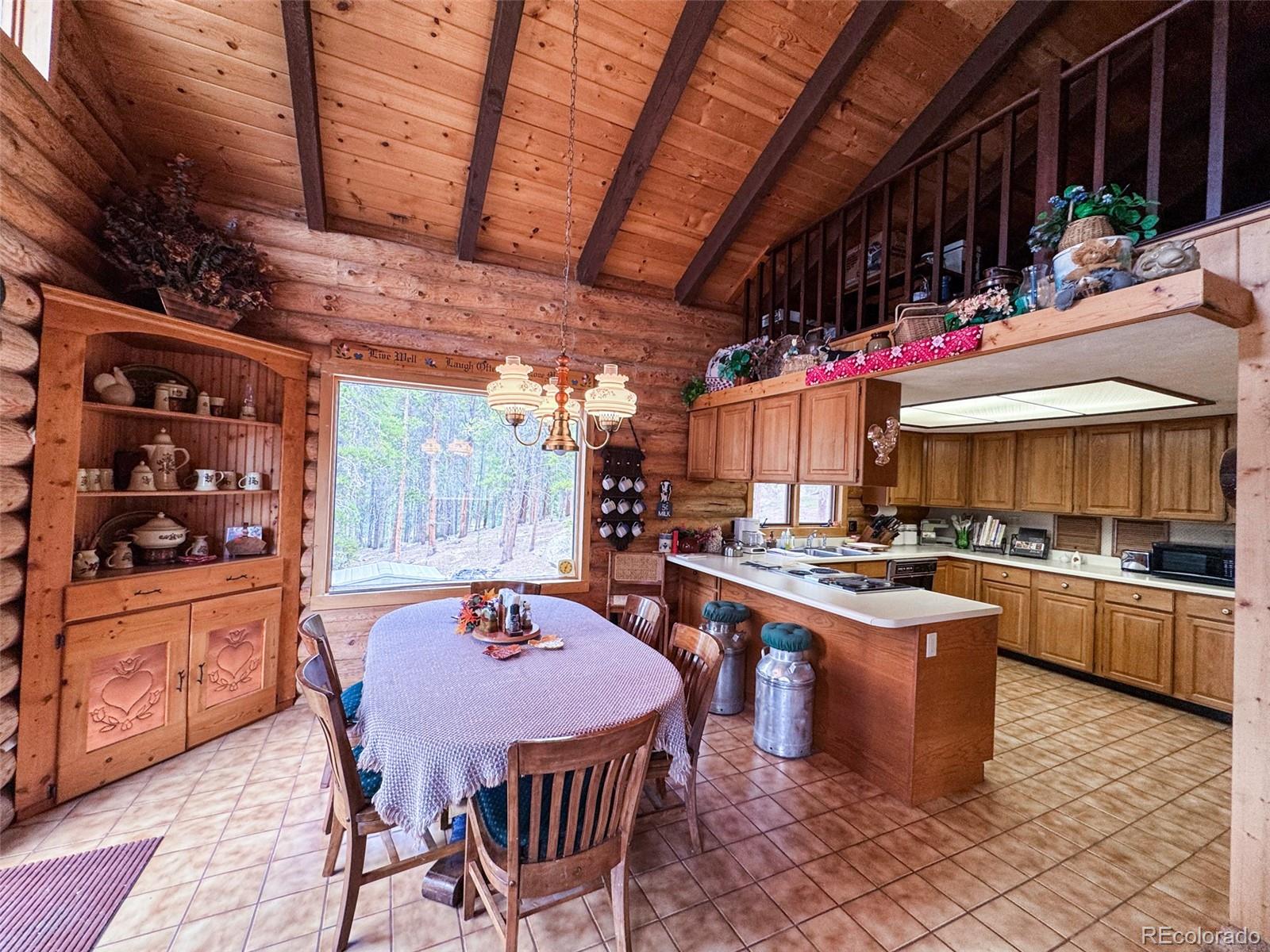 MLS Image #6 for 2235  empire valley drive,leadville, Colorado