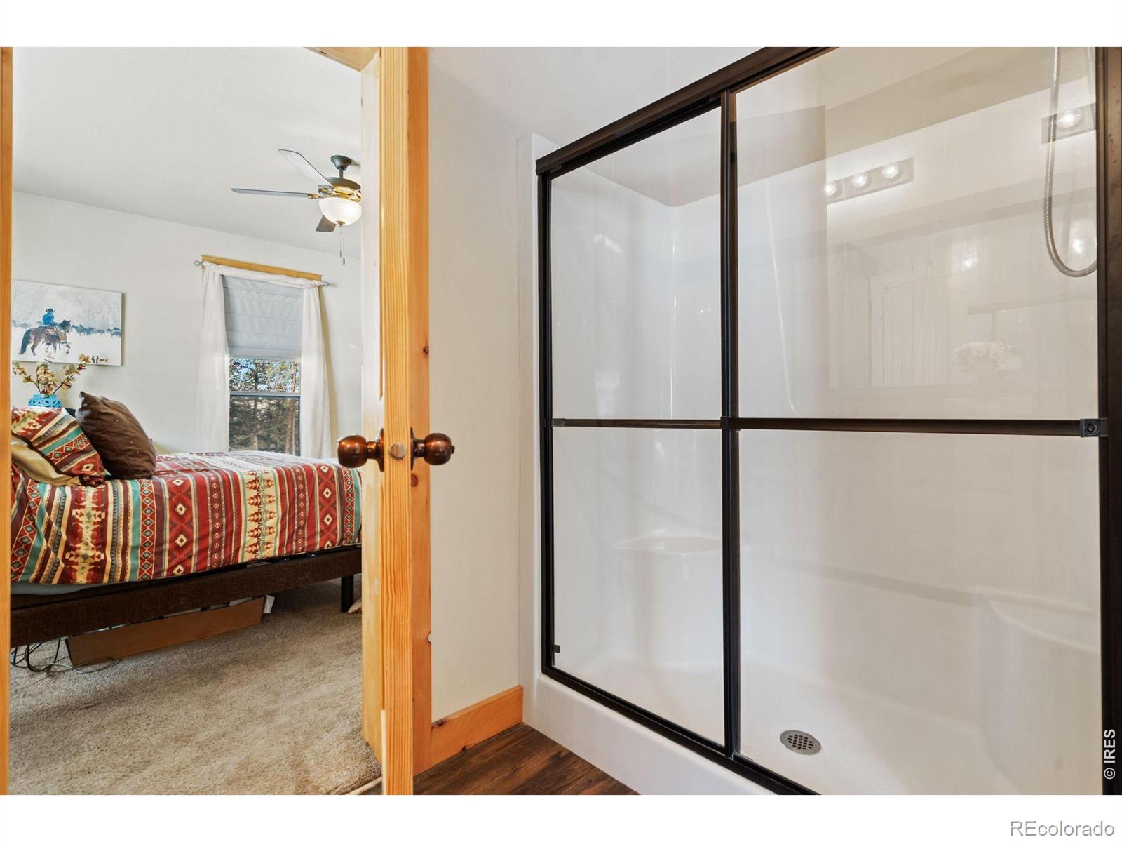 MLS Image #19 for 348  la escena drive,bellvue, Colorado
