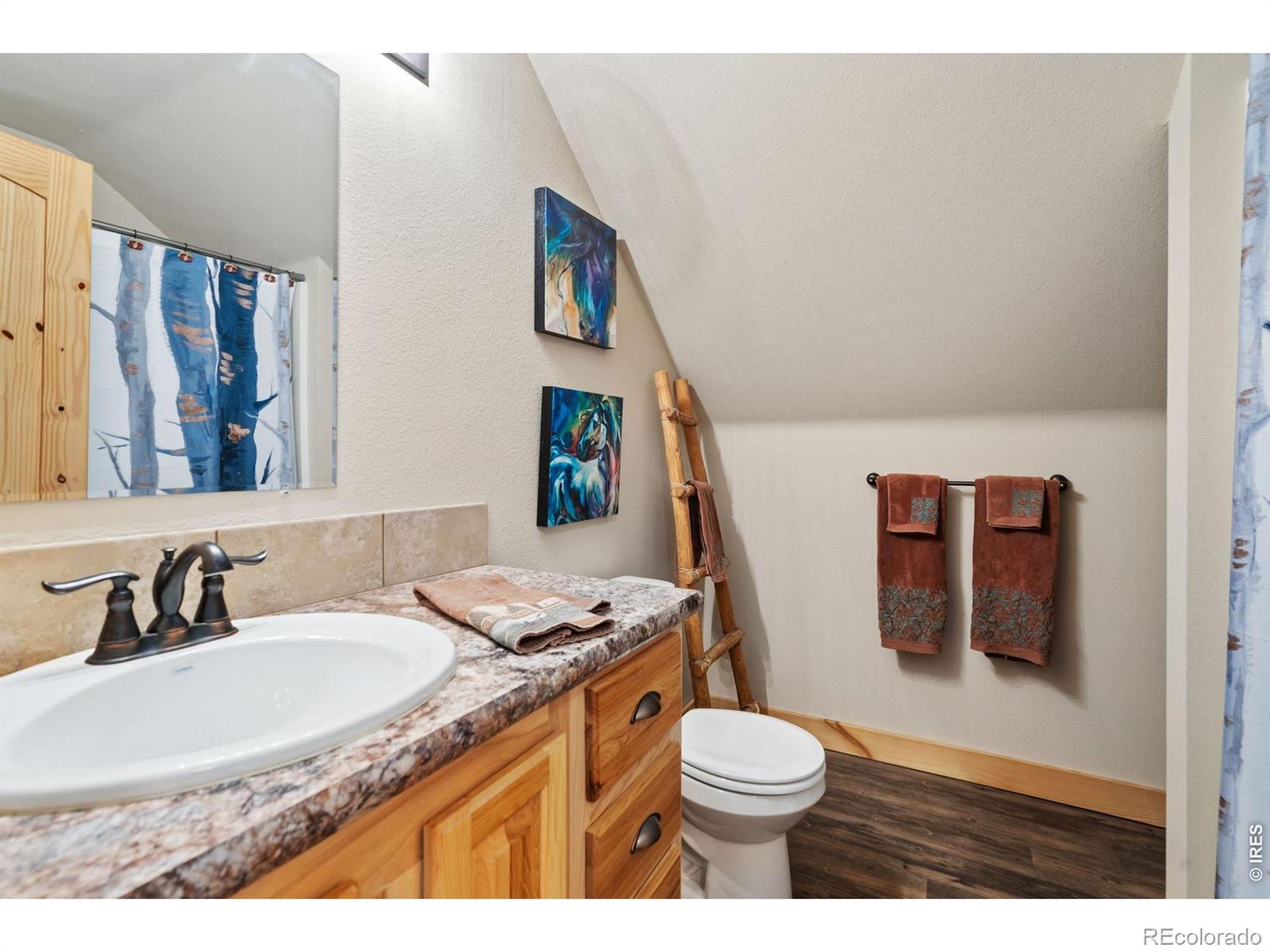 MLS Image #29 for 348  la escena drive,bellvue, Colorado
