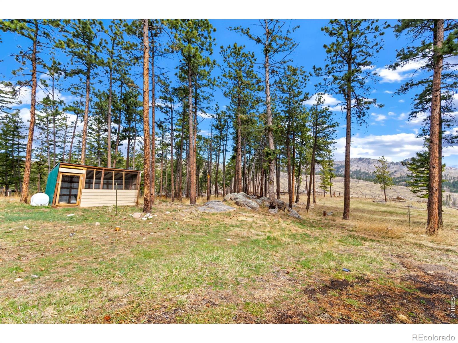MLS Image #38 for 348  la escena drive,bellvue, Colorado