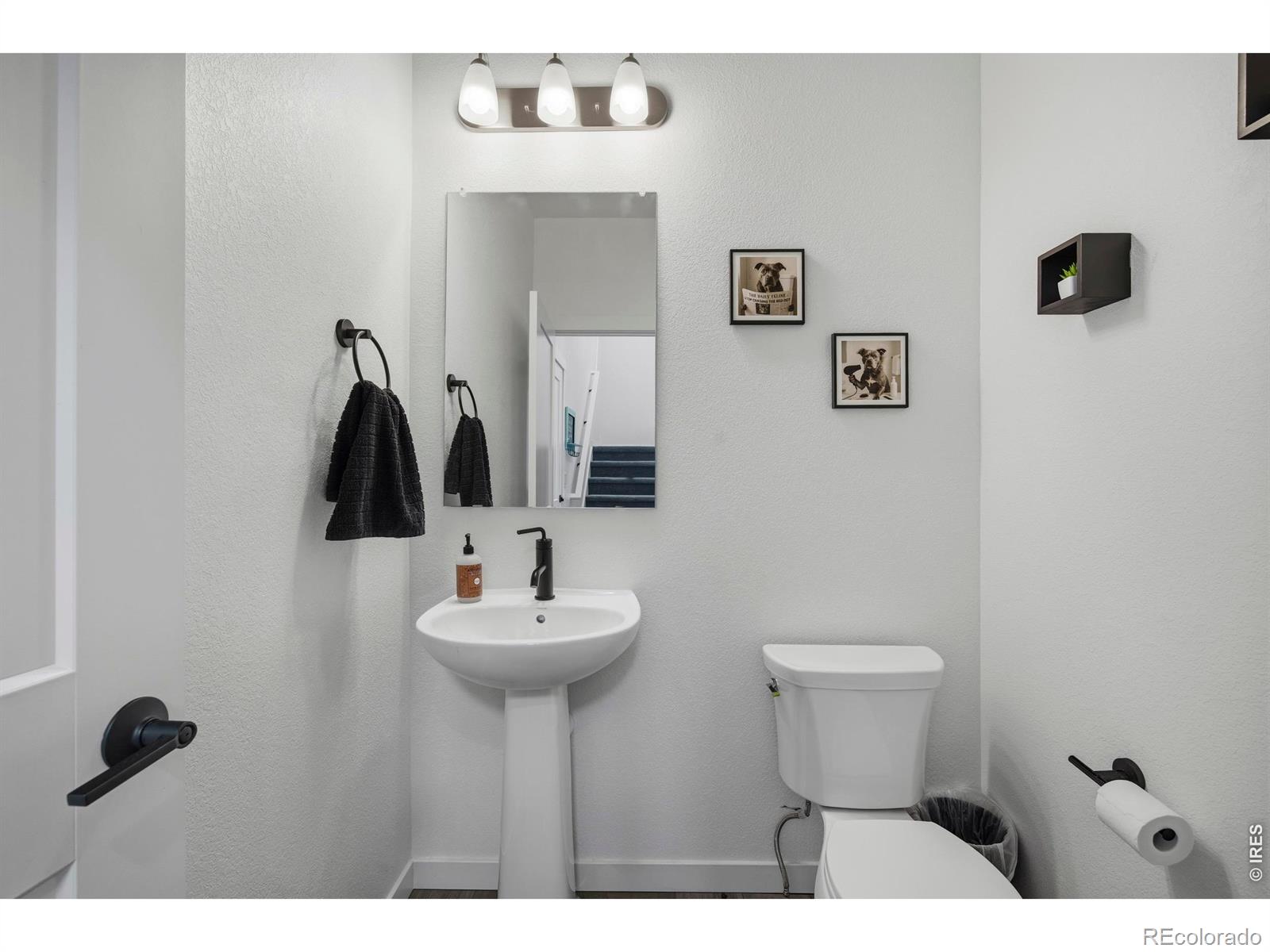 MLS Image #17 for 5864  rendezvous parkway,timnath, Colorado