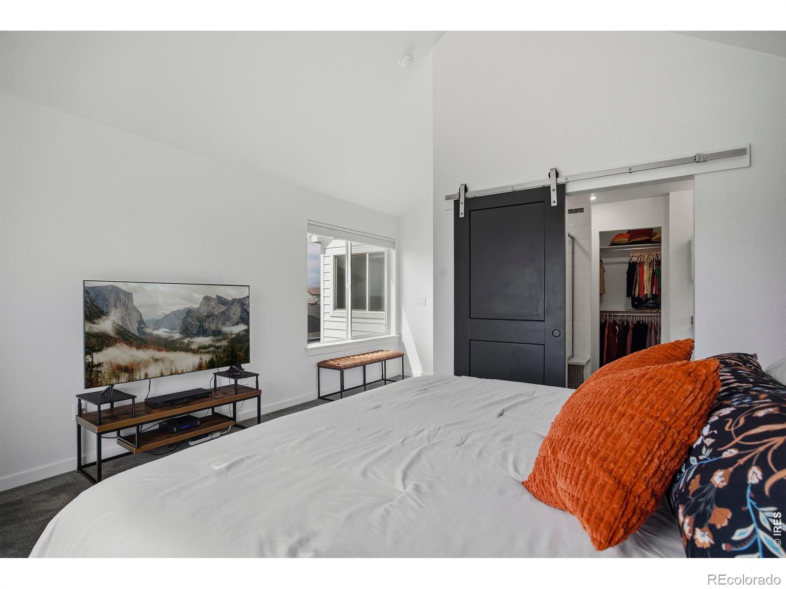 MLS Image #20 for 5864  rendezvous parkway,timnath, Colorado