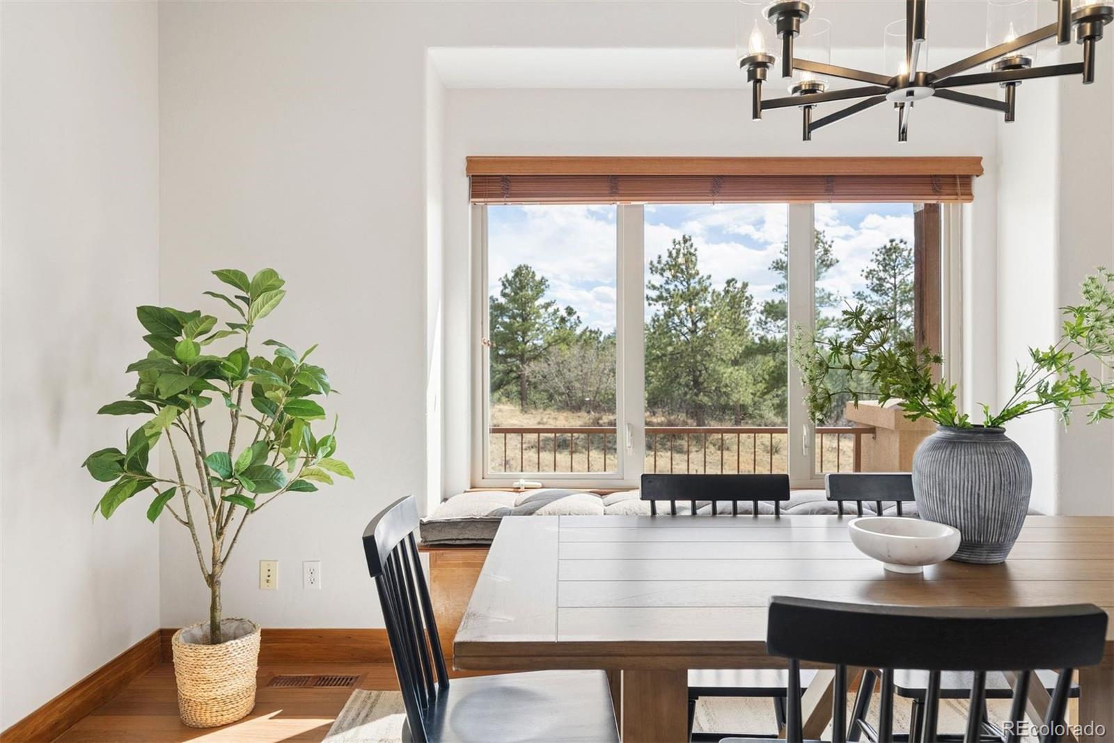 MLS Image #12 for 8814  windhaven drive,parker, Colorado