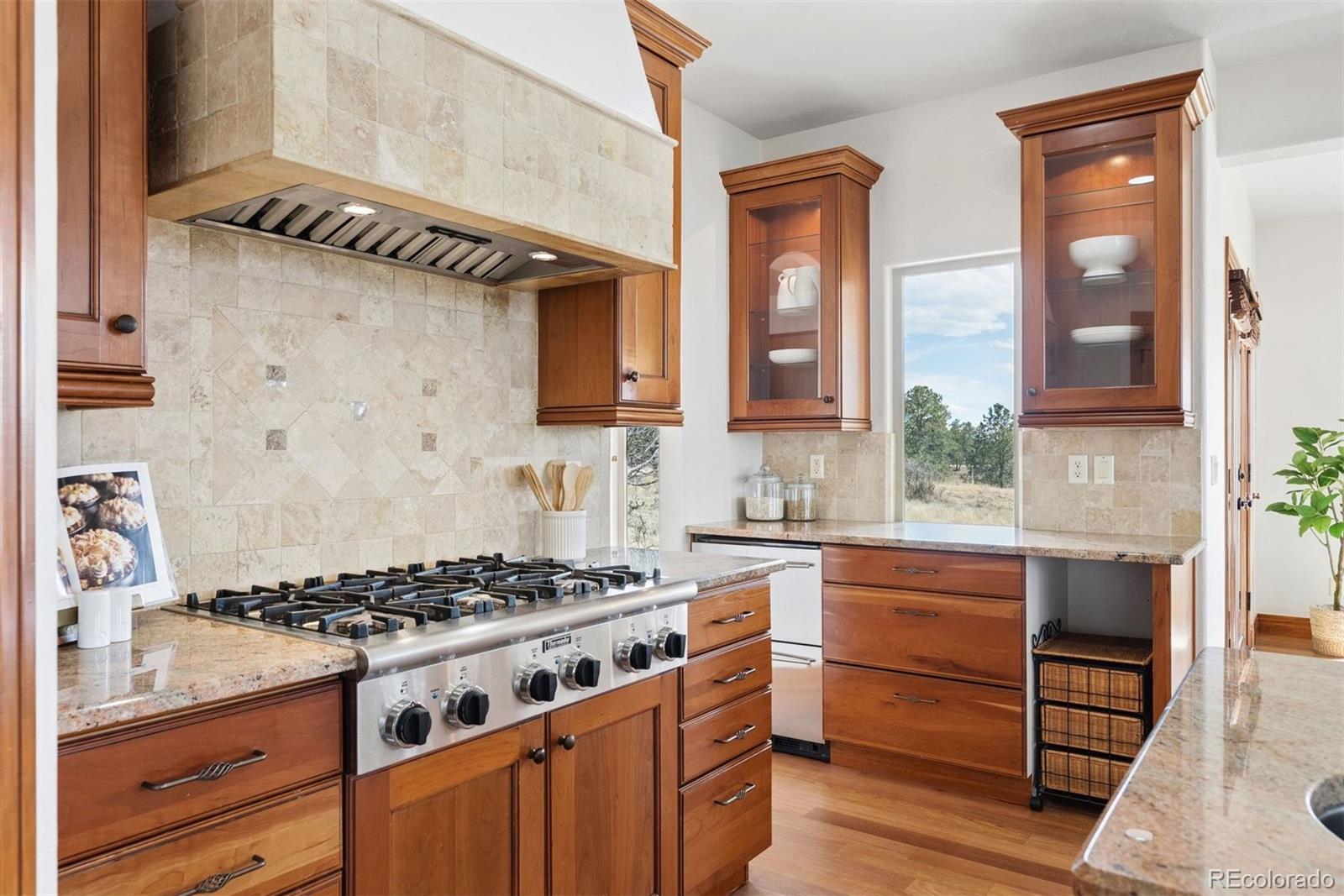 MLS Image #16 for 8814  windhaven drive,parker, Colorado