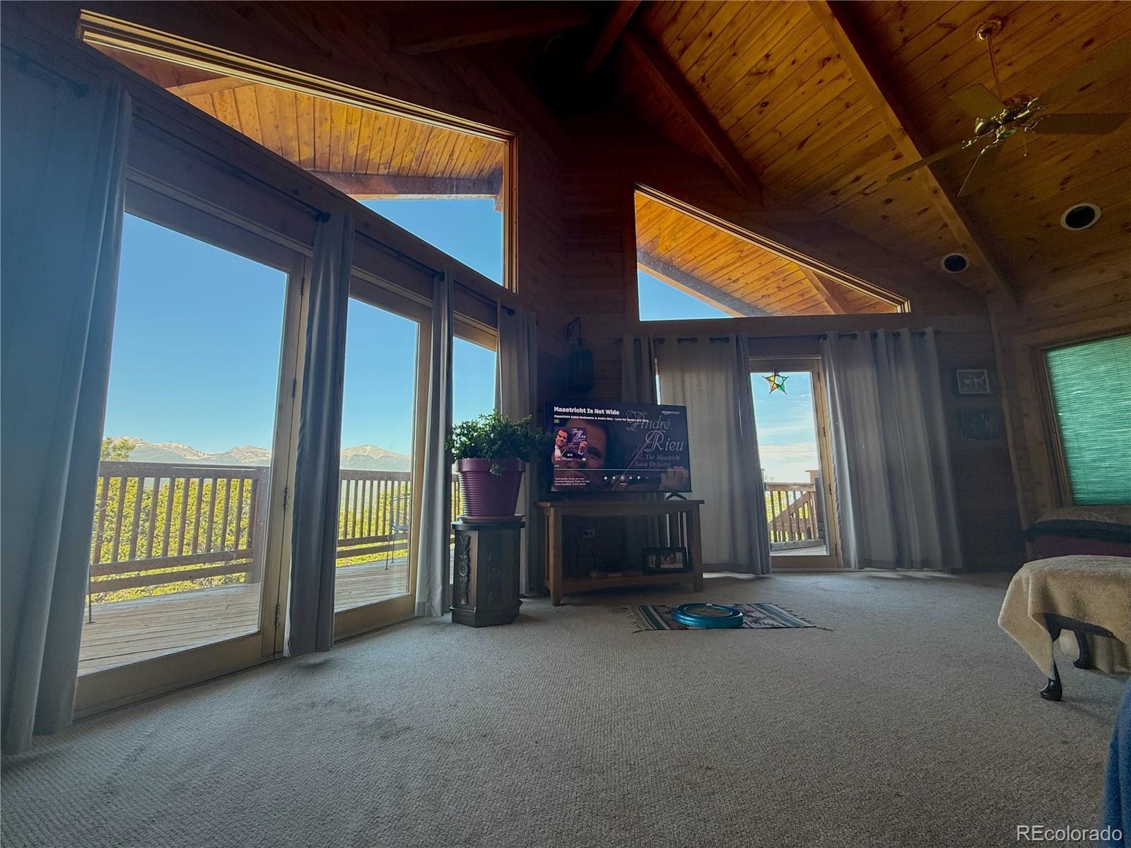 MLS Image #10 for 249  hagerman road,cotopaxi, Colorado