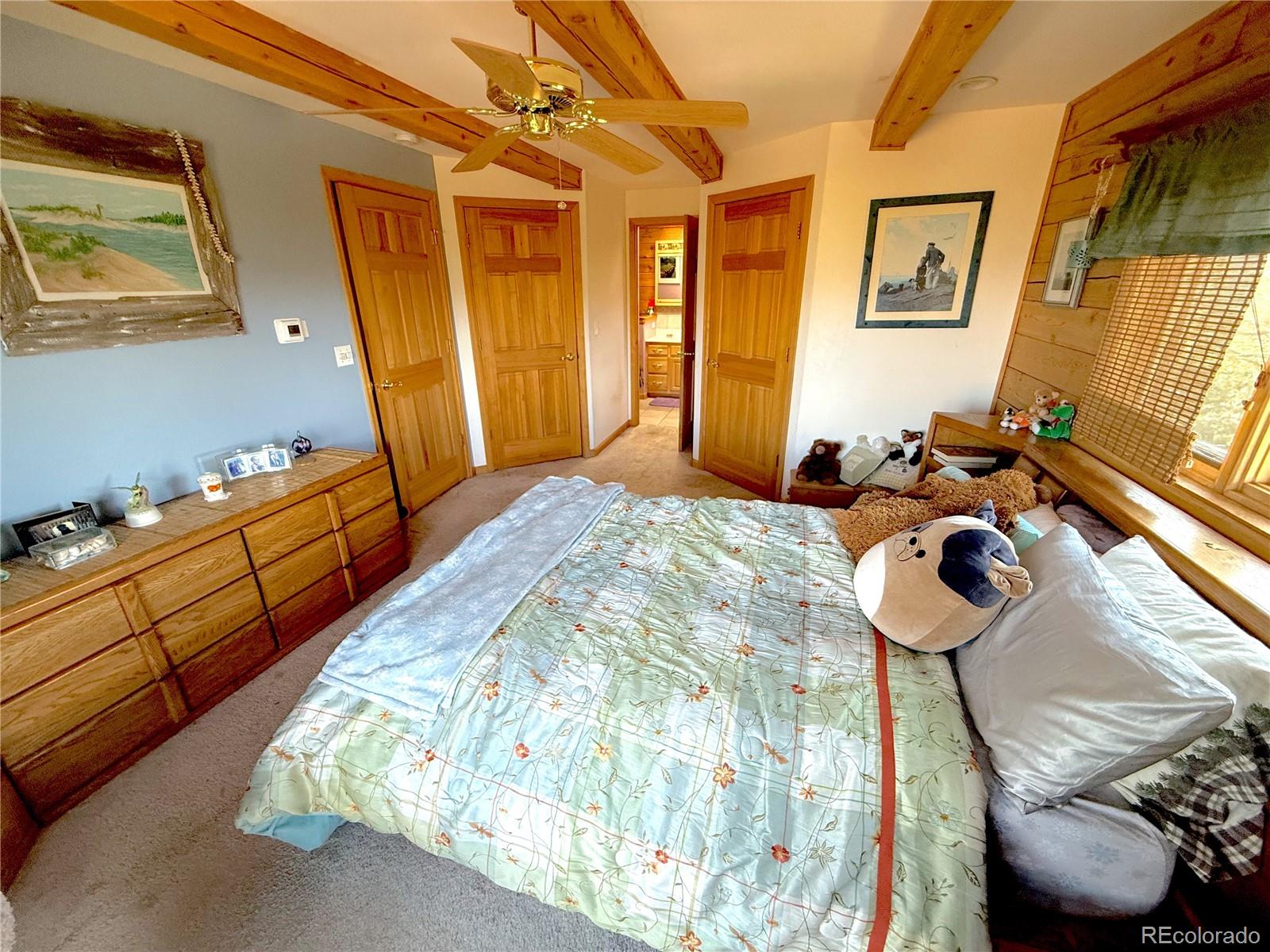 MLS Image #15 for 249  hagerman road,cotopaxi, Colorado