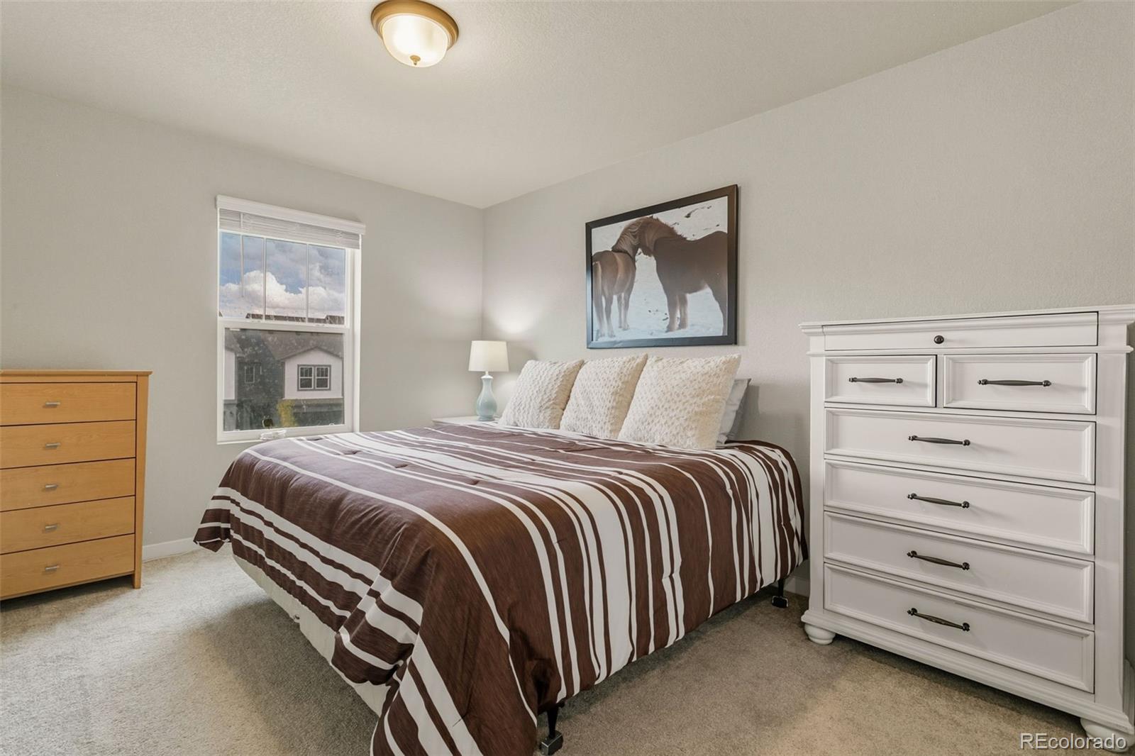 MLS Image #28 for 8234  grey bark way,colorado springs, Colorado