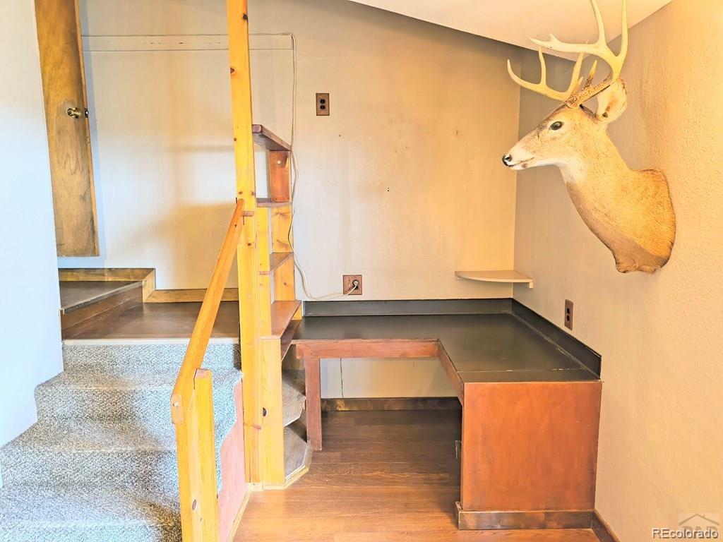 MLS Image #18 for 8285  park road,rye, Colorado