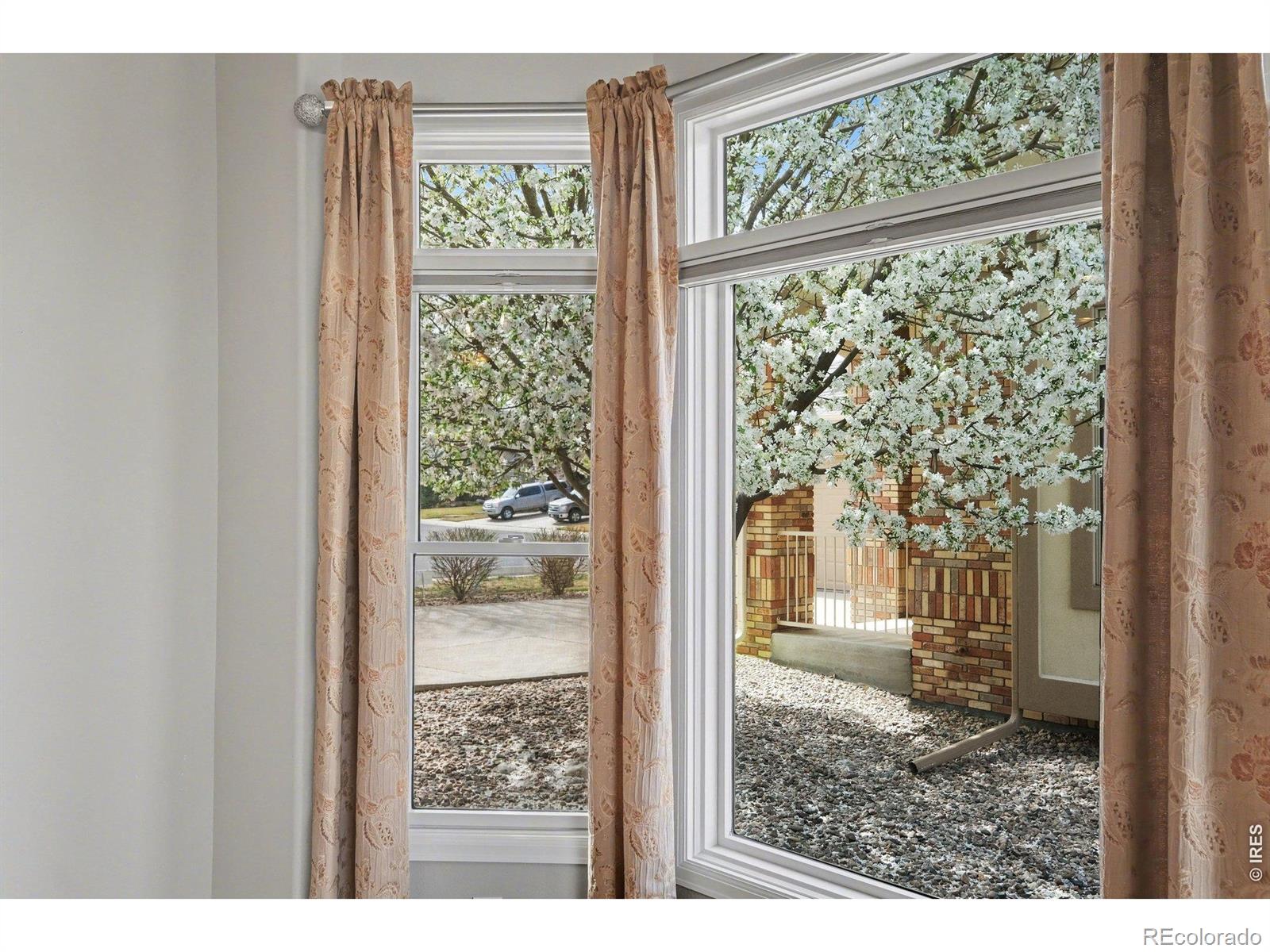 MLS Image #4 for 8245  hidden cove court,windsor, Colorado