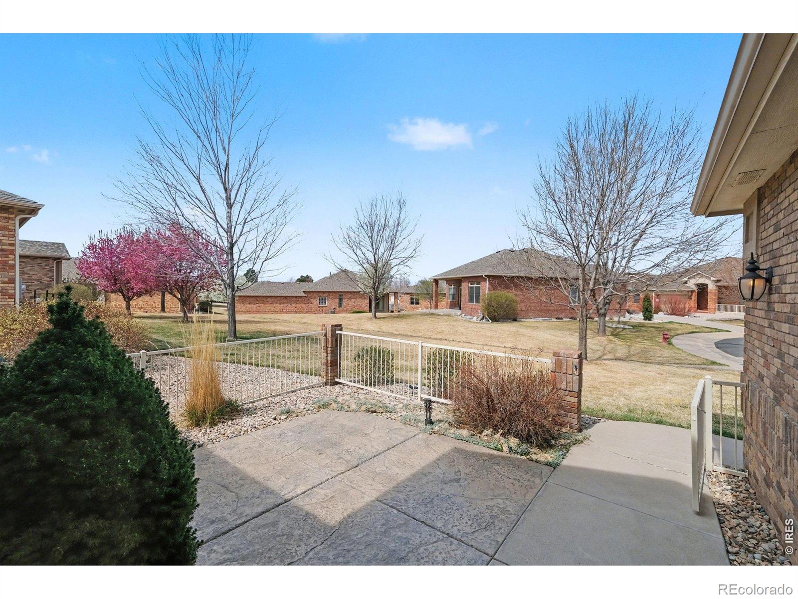 MLS Image #6 for 8245  hidden cove court,windsor, Colorado