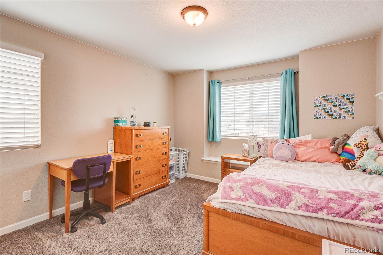 MLS Image #17 for 8760  animas river street,littleton, Colorado