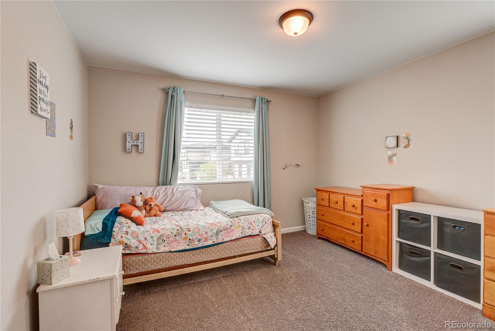 MLS Image #18 for 8760  animas river street,littleton, Colorado