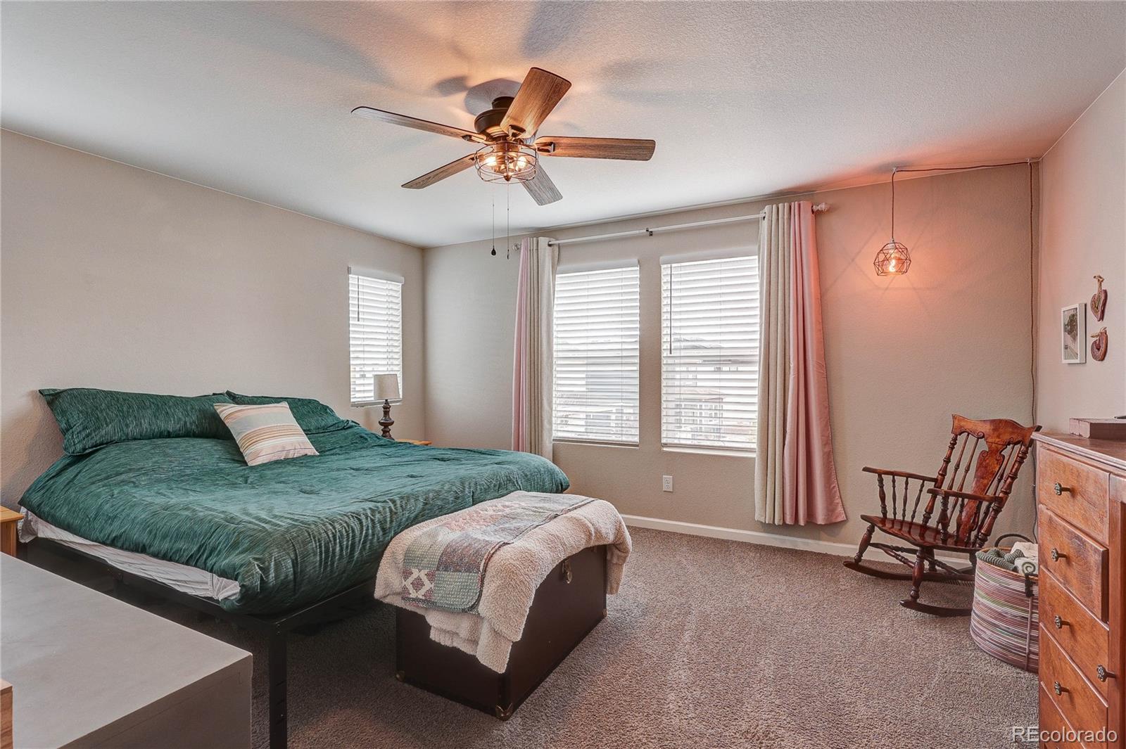 MLS Image #21 for 8760  animas river street,littleton, Colorado