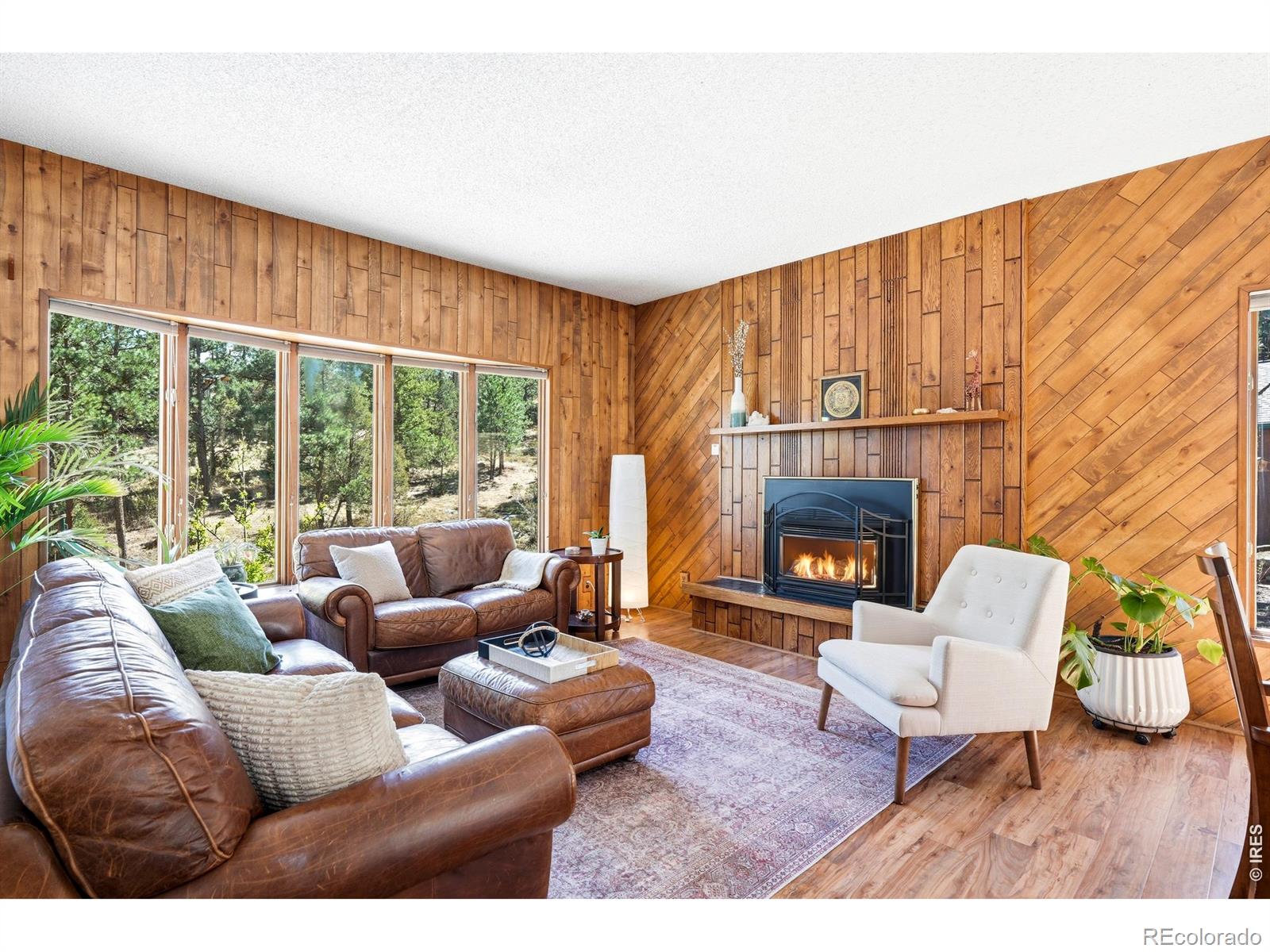 MLS Image #5 for 5  mohawk road,lyons, Colorado