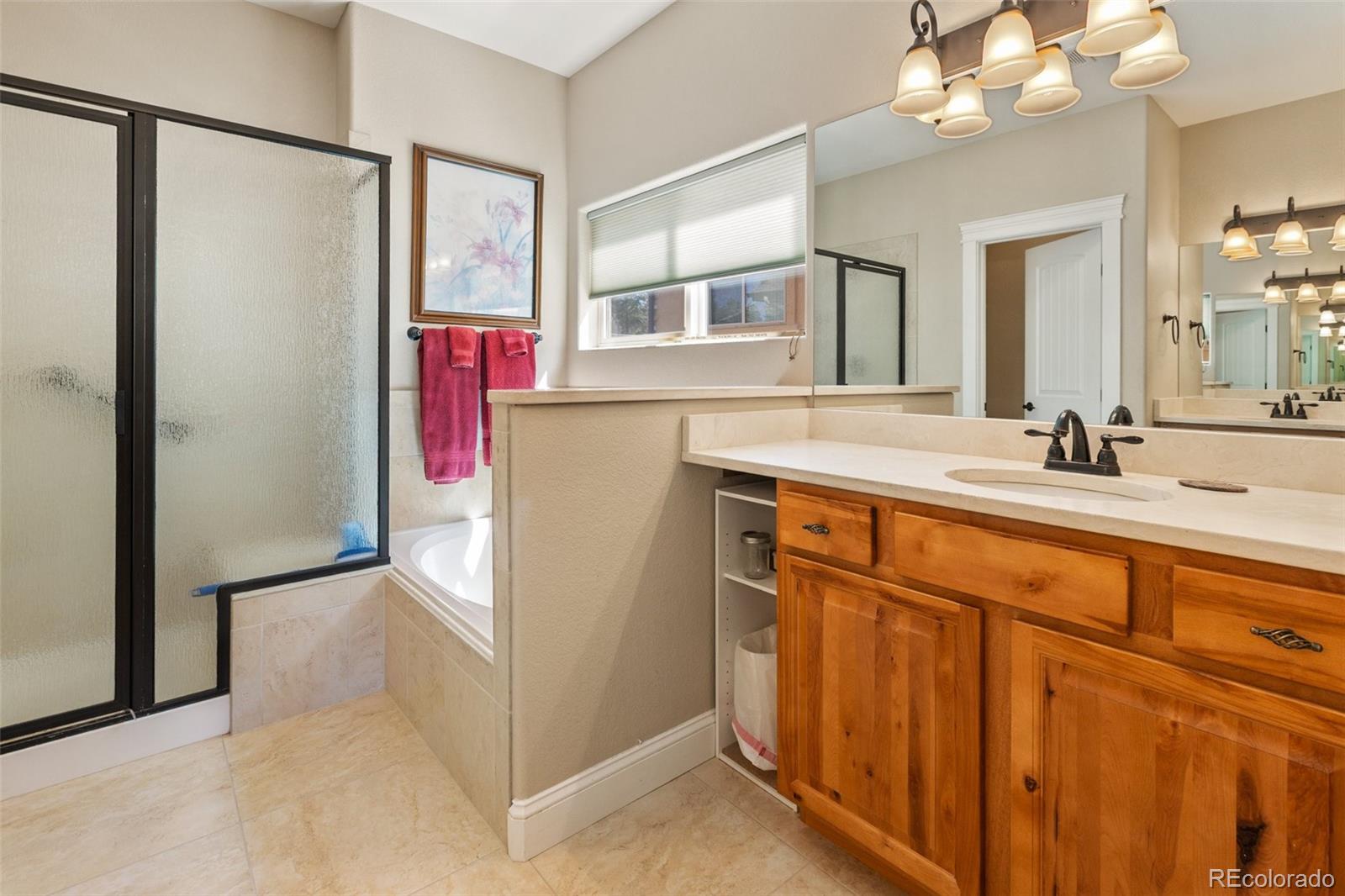 MLS Image #19 for 1310  longs point,woodland park, Colorado