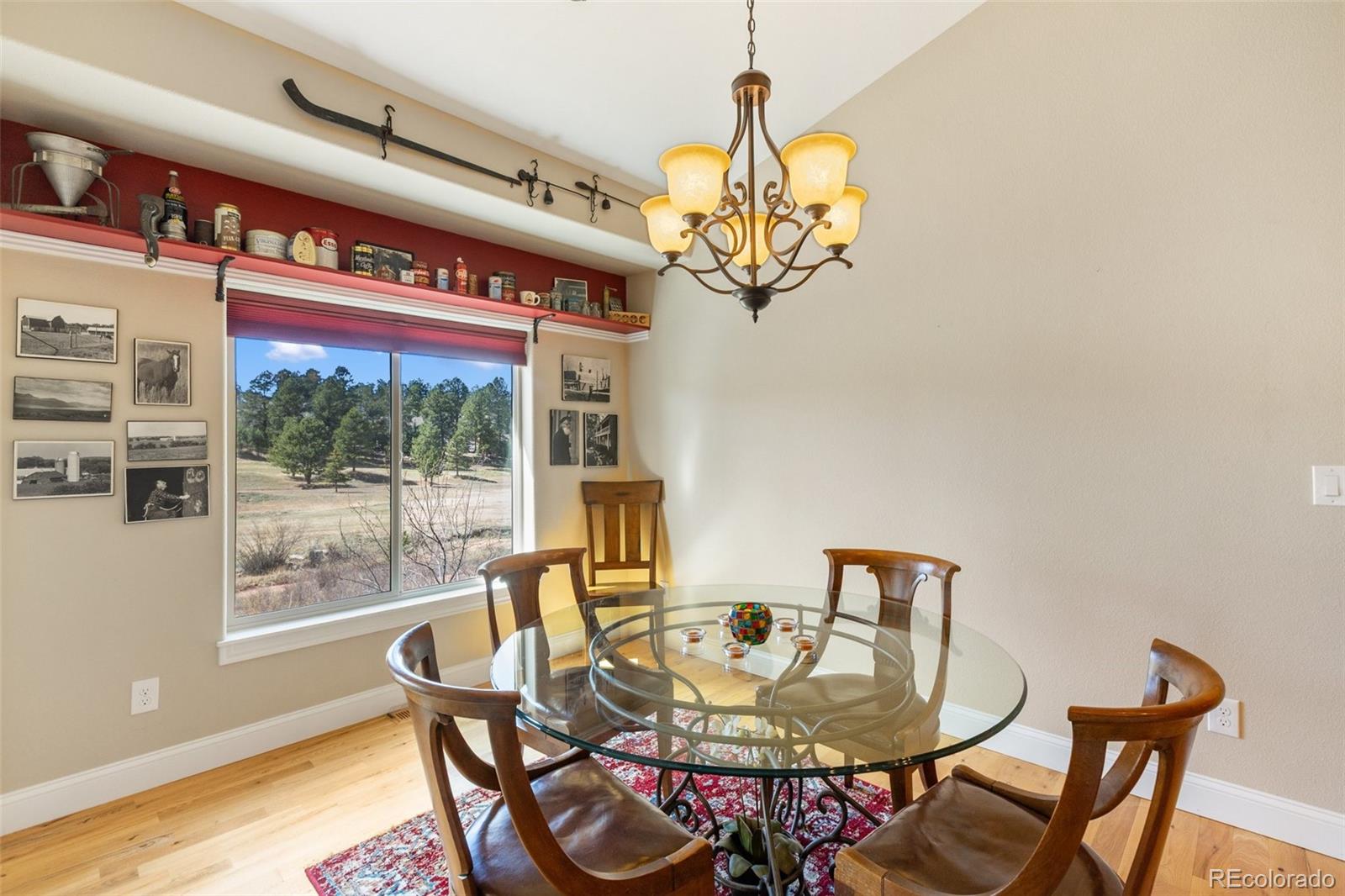 MLS Image #9 for 1310  longs point,woodland park, Colorado