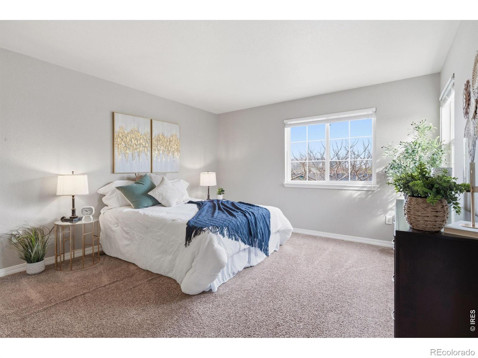 MLS Image #17 for 5551  cornerstone drive,fort collins, Colorado