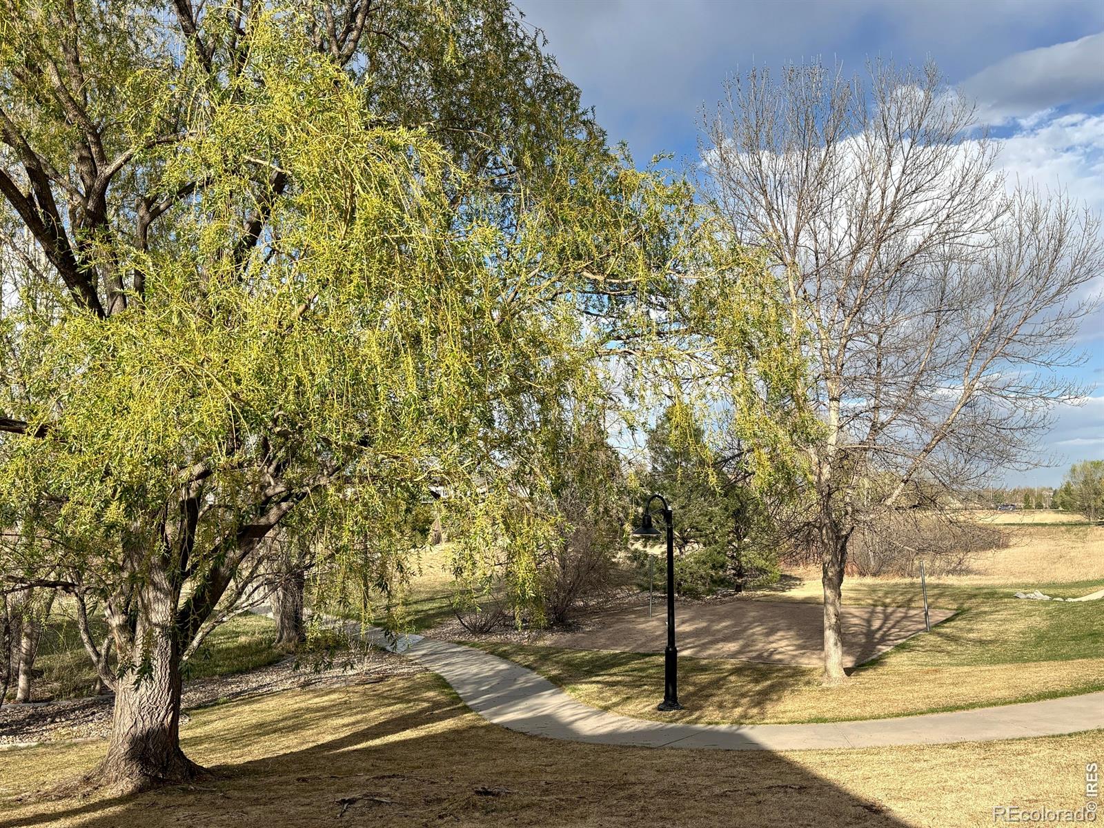 MLS Image #31 for 5551  cornerstone drive,fort collins, Colorado
