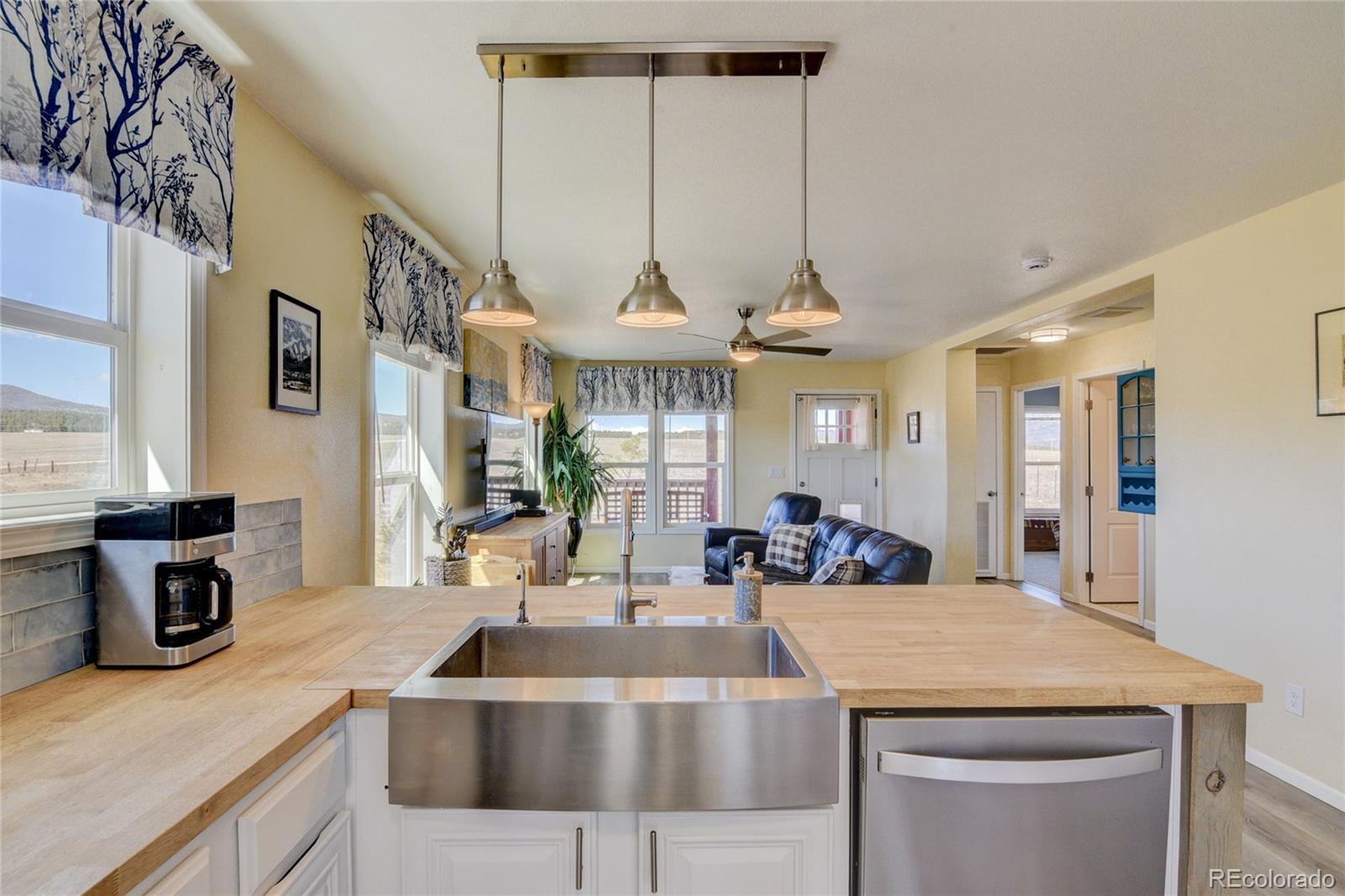 MLS Image #28 for 261  bridle path,hartsel, Colorado