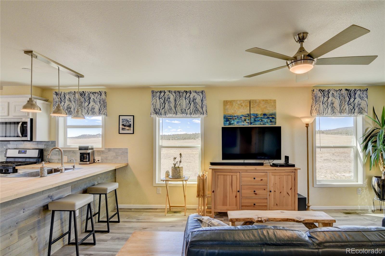 MLS Image #31 for 261  bridle path,hartsel, Colorado