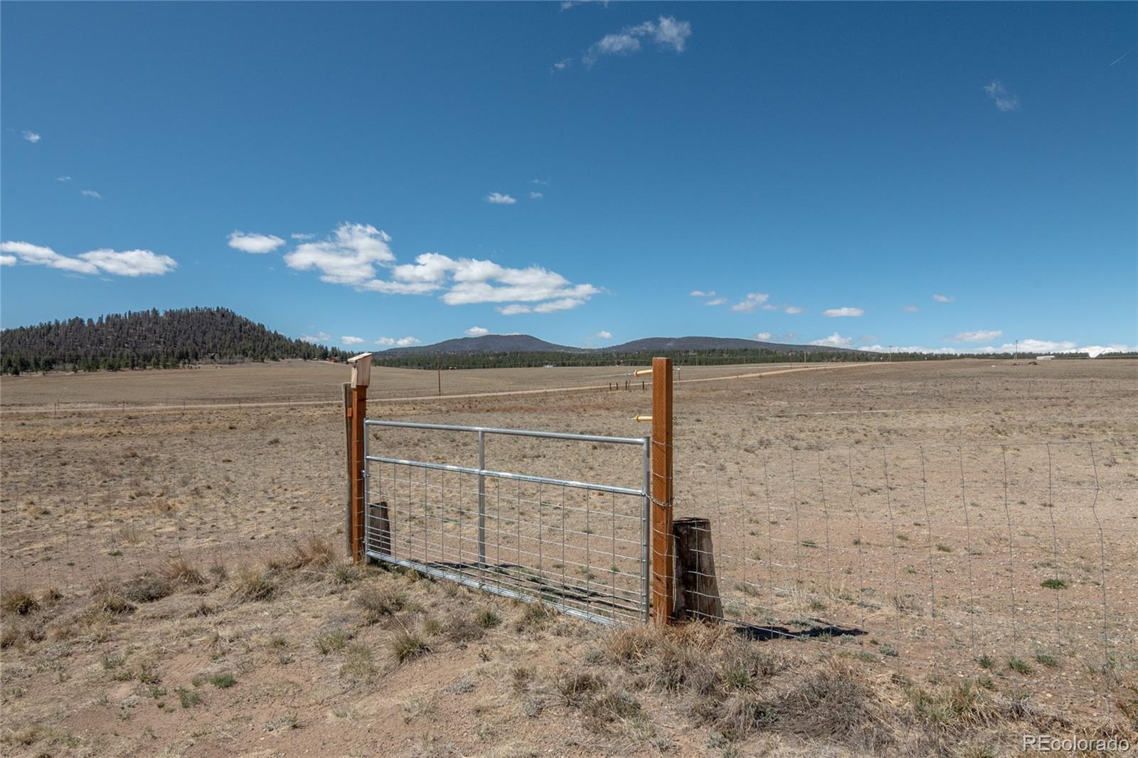 MLS Image #47 for 261  bridle path,hartsel, Colorado