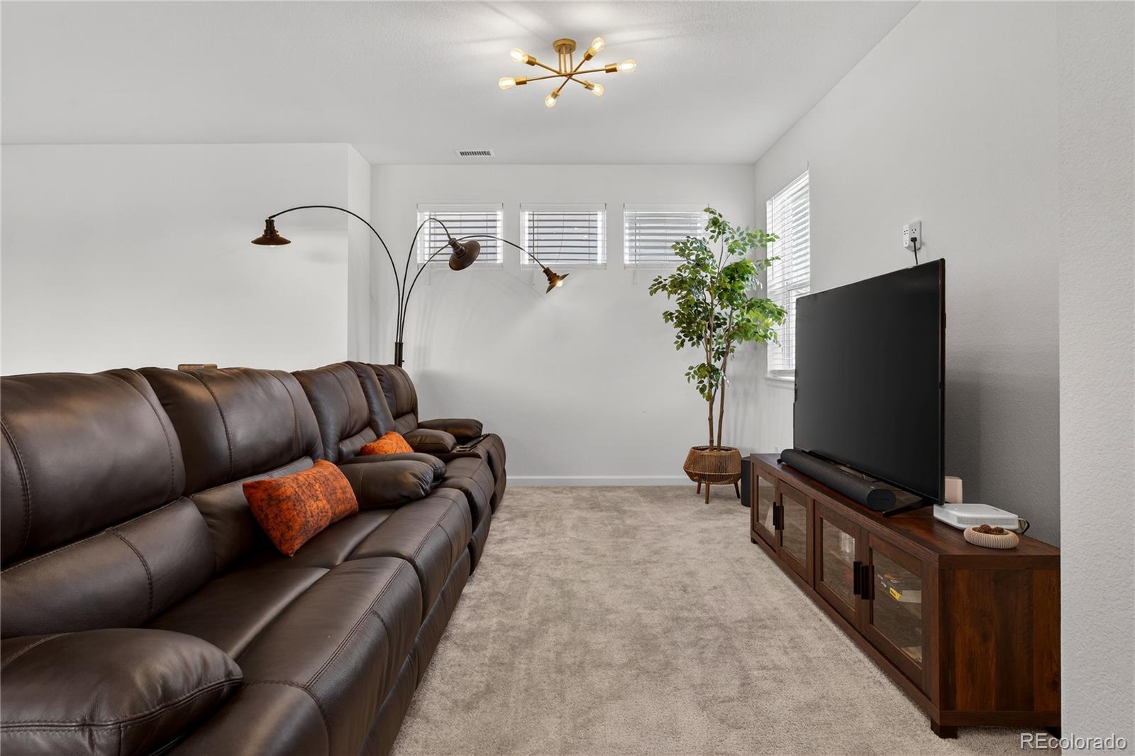 MLS Image #22 for 5737  amarosa drive,parker, Colorado