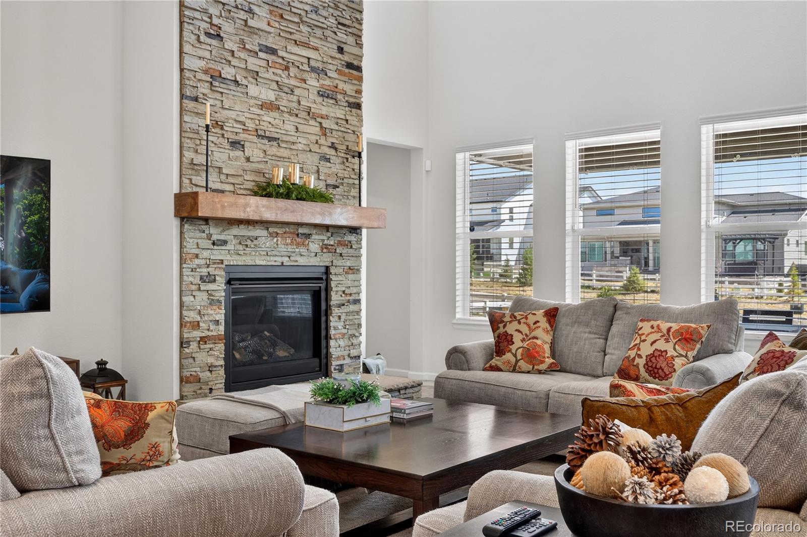 MLS Image #4 for 5737  amarosa drive,parker, Colorado