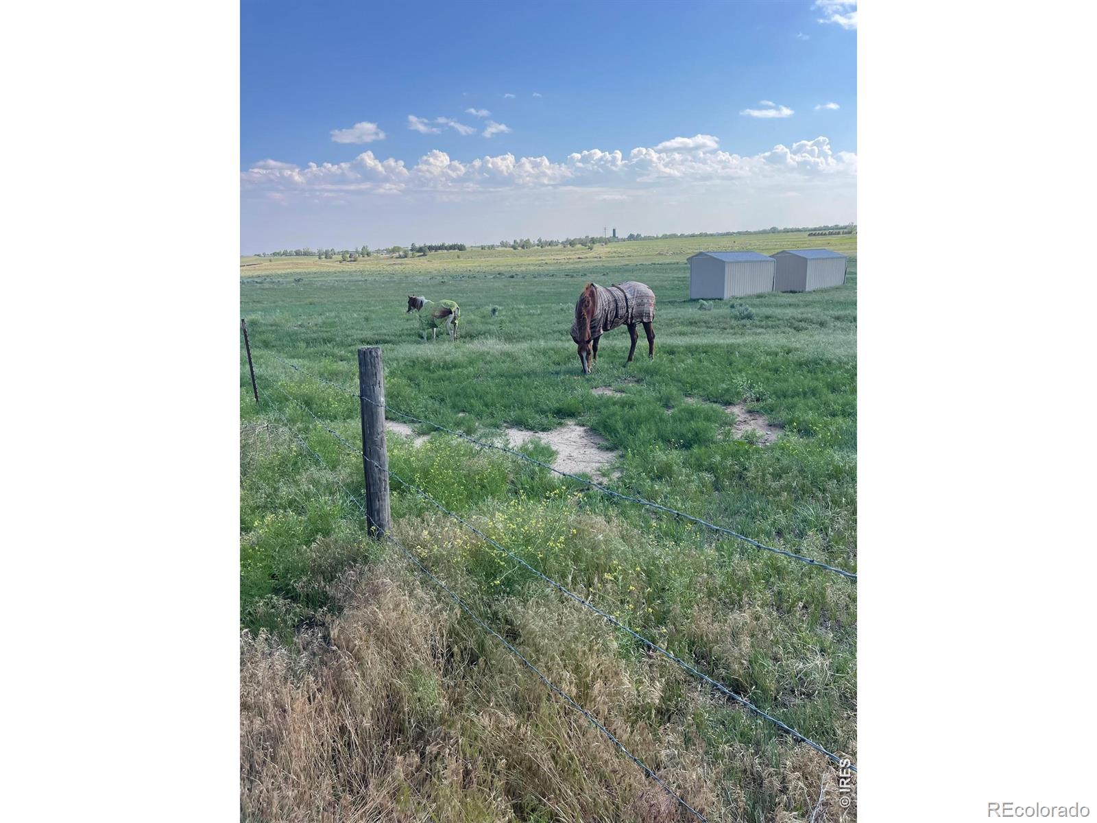 MLS Image #41 for 13969  county road 33 ,sterling, Colorado