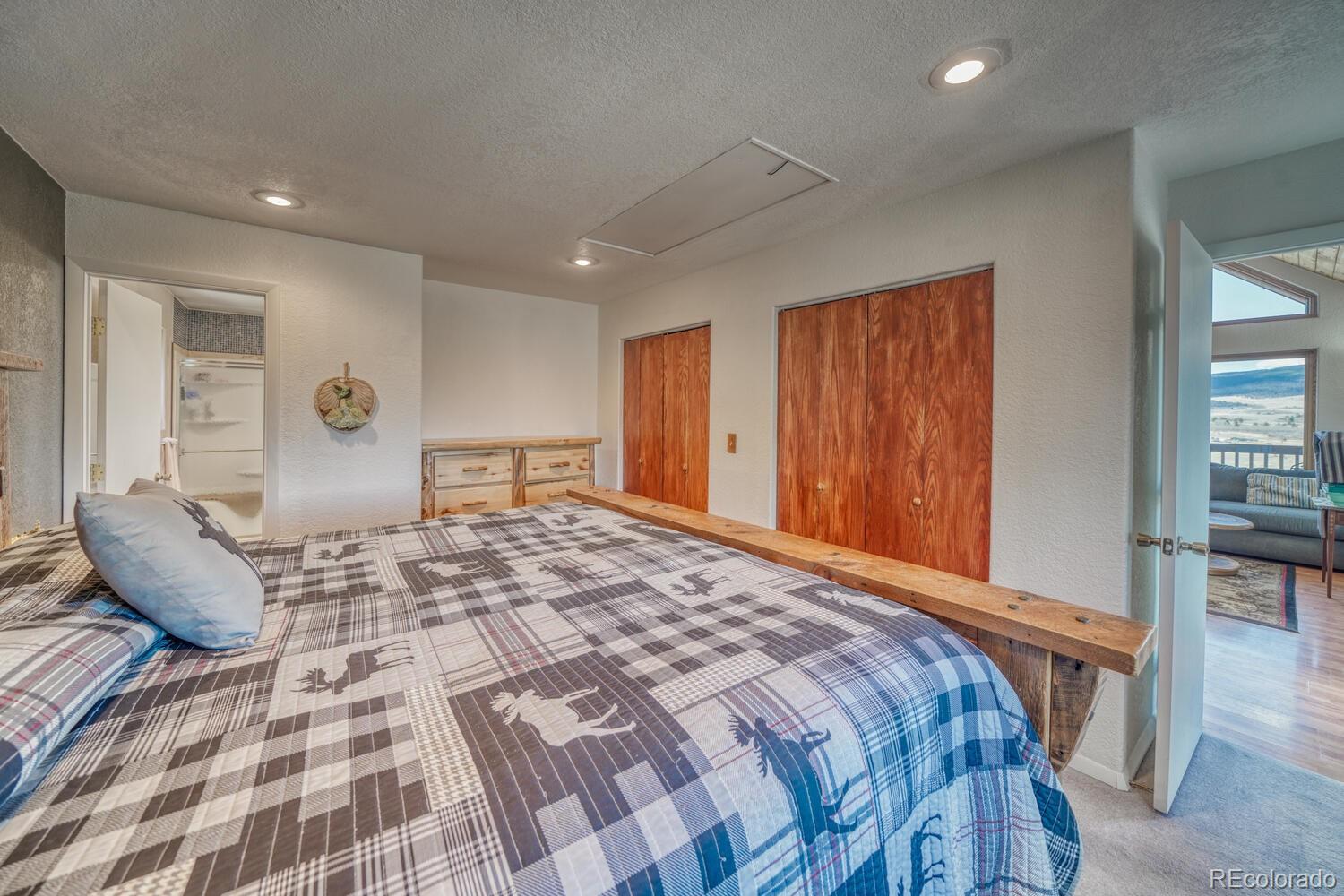 MLS Image #13 for 229  ladigo lane,hartsel, Colorado