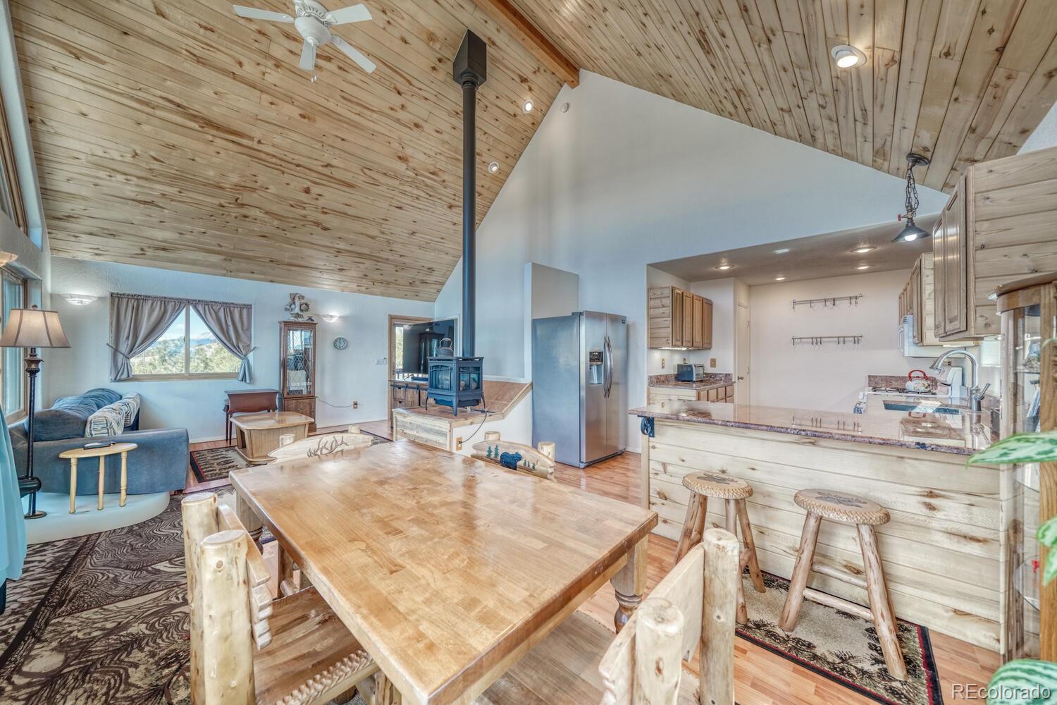 MLS Image #4 for 229  ladigo lane,hartsel, Colorado