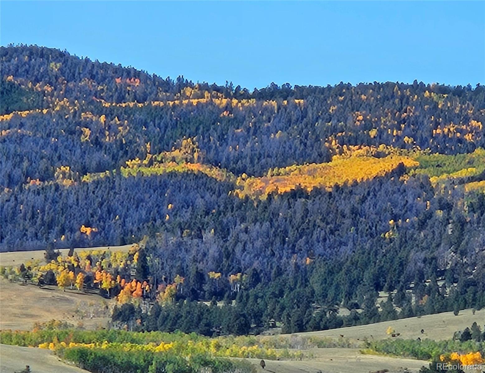 MLS Image #49 for 229  ladigo lane,hartsel, Colorado