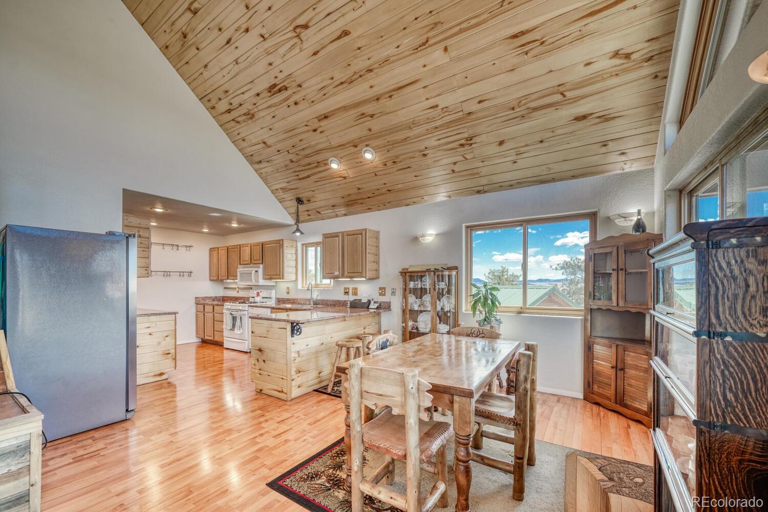 MLS Image #5 for 229  ladigo lane,hartsel, Colorado